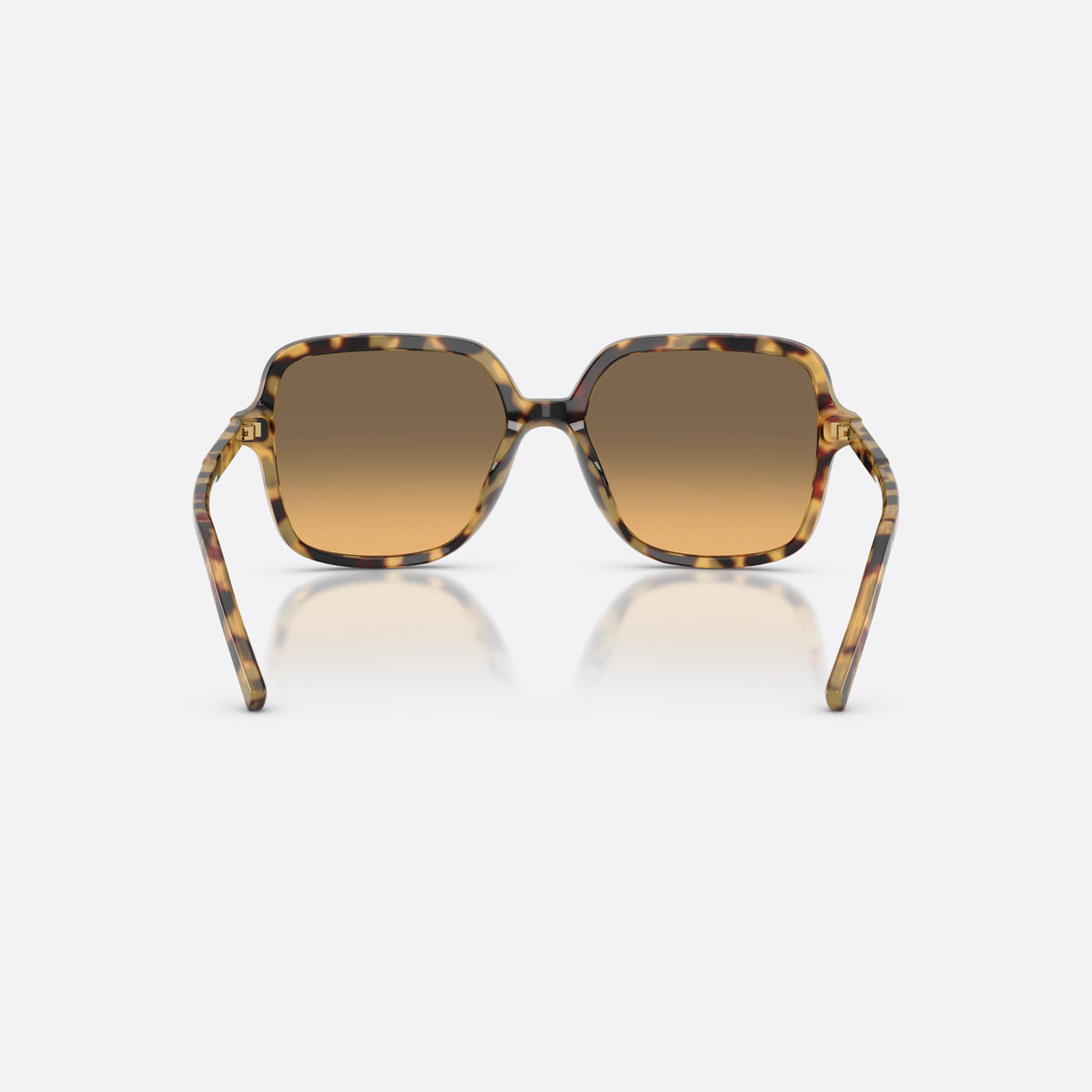 Ochelari de soare Dolce & Gabbana DG4539 512/11, patrati havana, pentru femei, punte dublă simplă, literele brandului pe brațe, vedere din spate