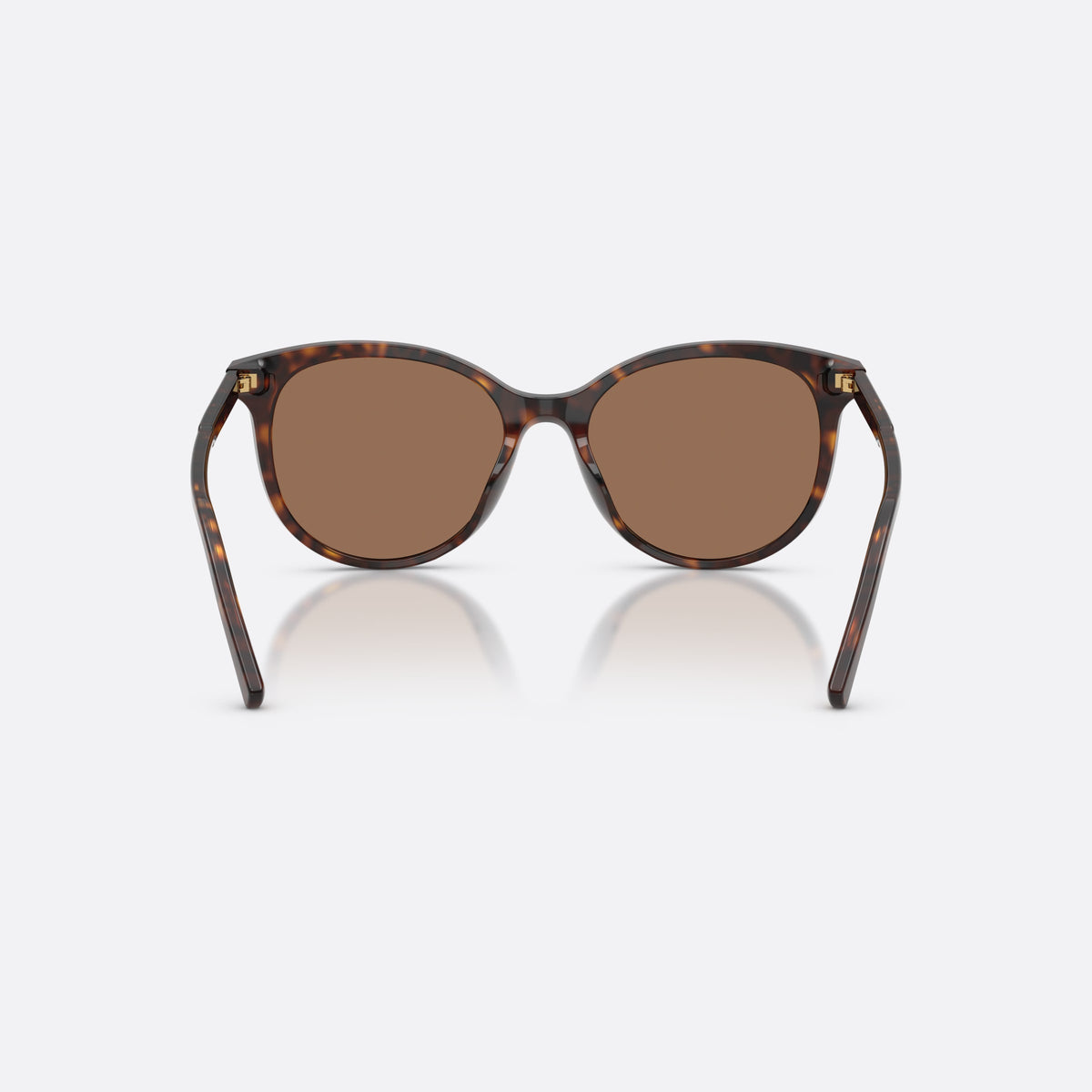 Dolce & Gabbana DG4540 502/13 sunglasses, havana phantos frame for women, plain bridge, brand lettering on temple, full-rim frame, back view