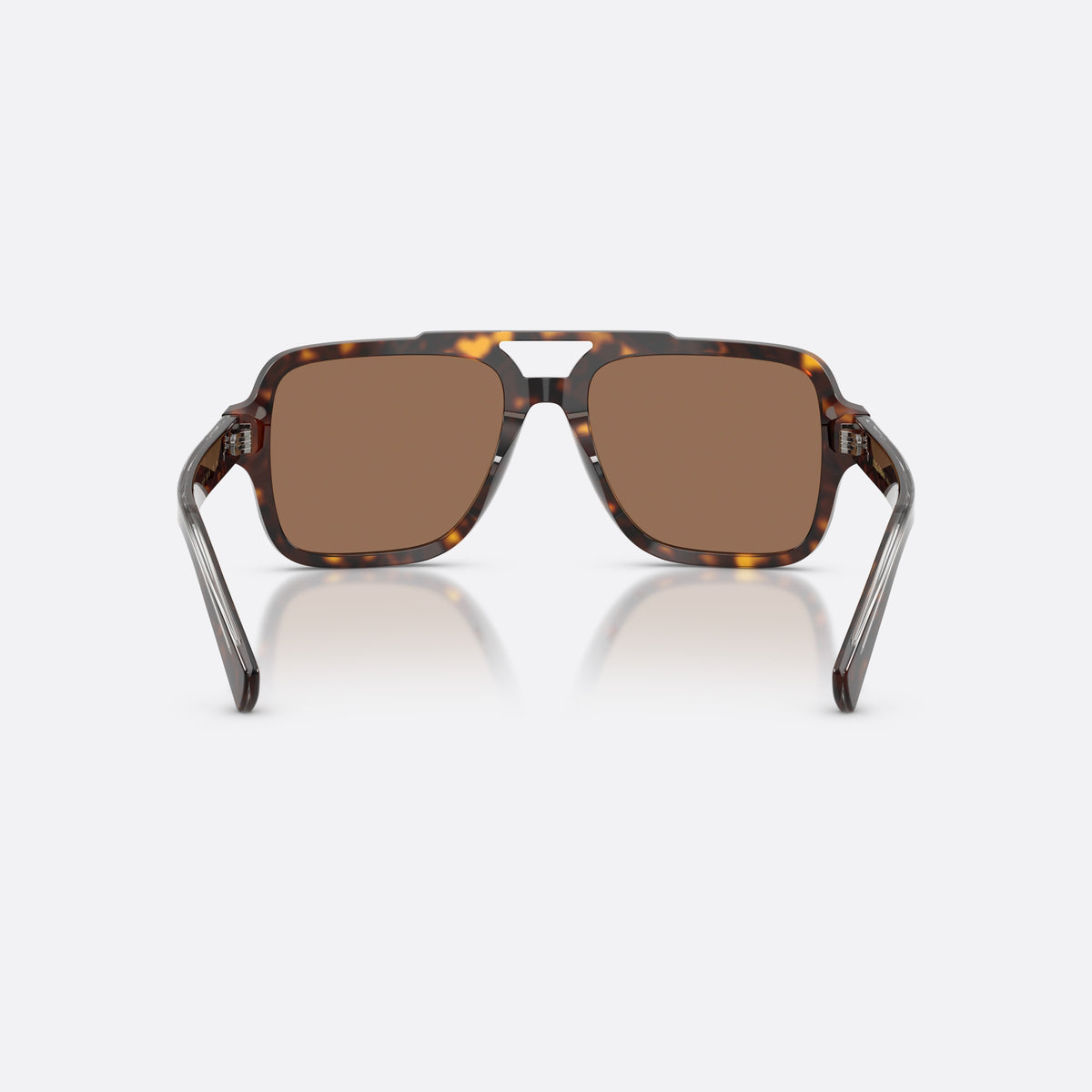 Dolce & Gabbana DG4544 502/73 sunglasses, havana pilot frame for men, double bridge with top bar, brand lettering on temples, back view