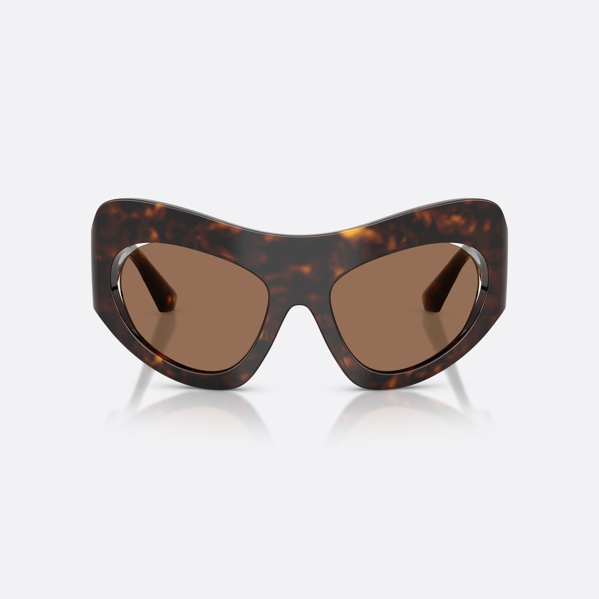 Dolce & Gabbana DG4552 502/73 sunglasses, havana cat eye frame for women, plain bridge, brand logo on temple, full-rim frame, front view