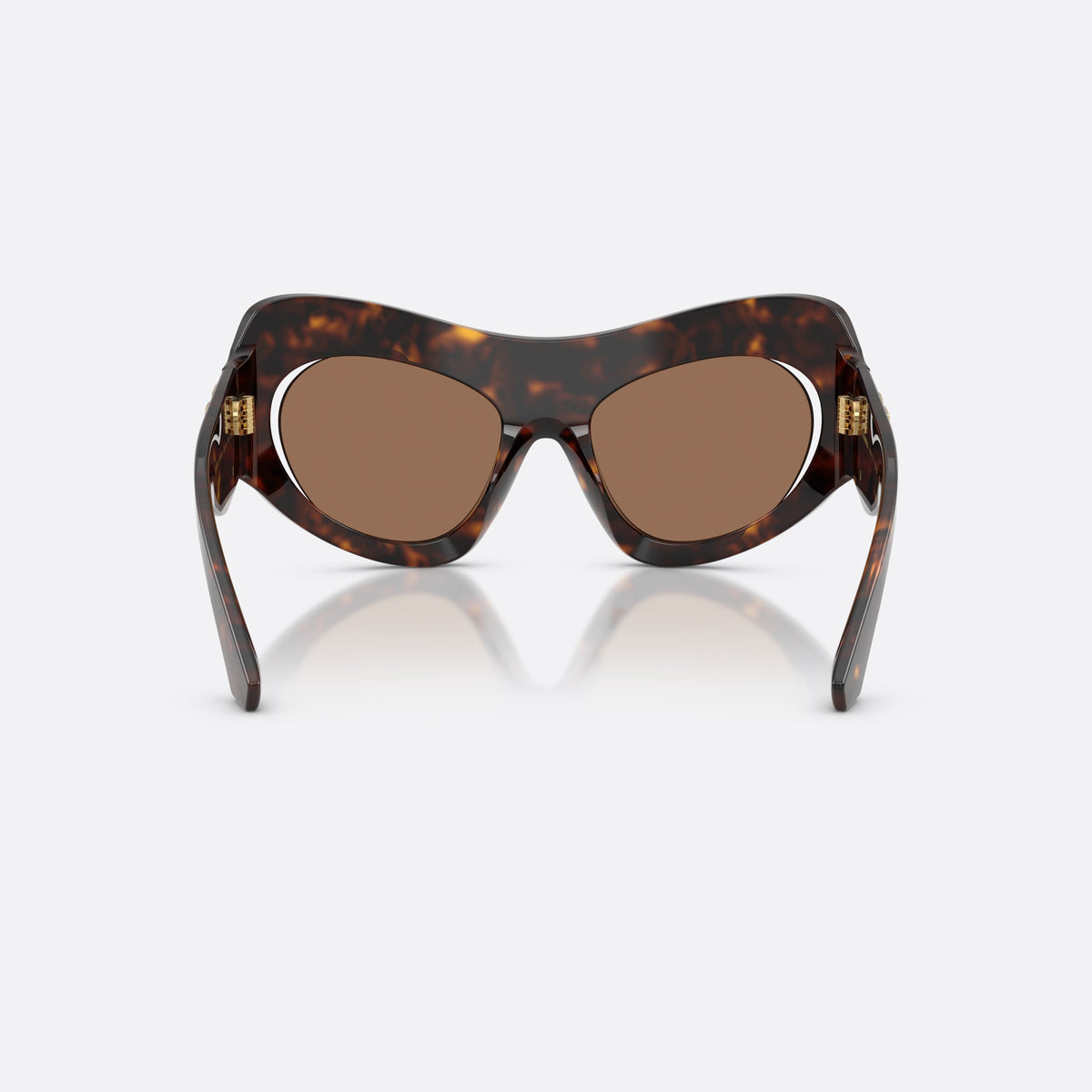 Dolce & Gabbana DG4552 502/73 sunglasses, havana cat eye frame for women, plain bridge, brand logo on temple, full-rim frame, back view