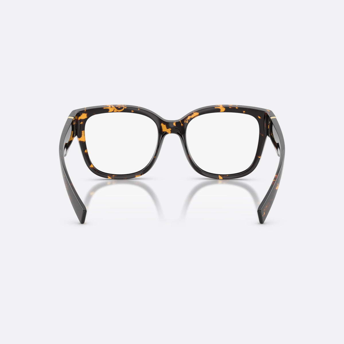 Dolce & Gabbana DG5115 512 eyeglasses, havana butterfly frame for women, gold-tone brand logo plaque on temple, back view