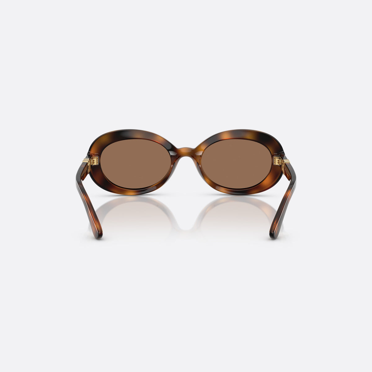 Dolce & Gabbana DX6007U 502/73 sunglasses, havana oval frame for kids, plain integrated bridge, brand logo on temple, back view