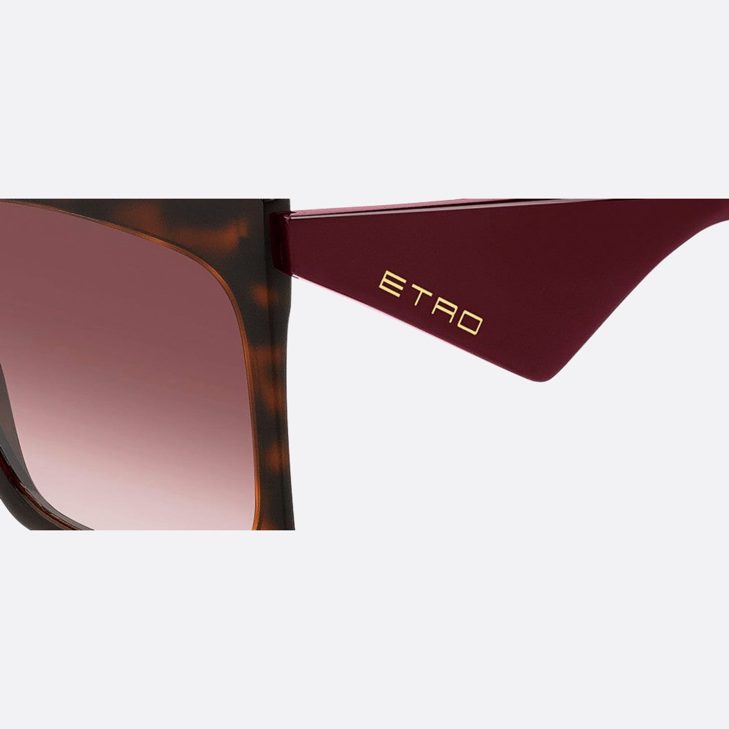 Etro 60mm Etro Havana Oversize Women Sunglasses - Lifestyle Shot
