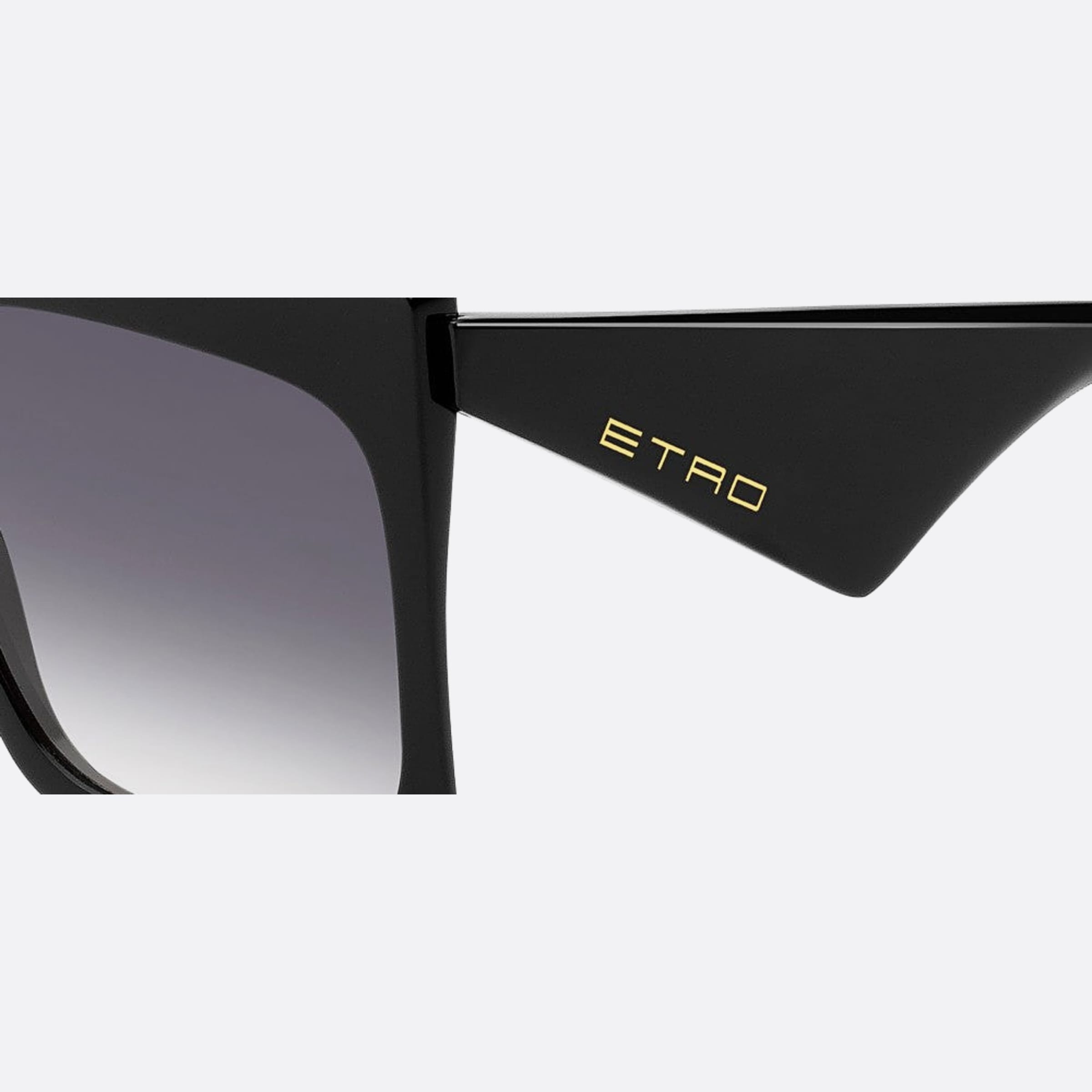 Etro 60mm Etro Black Oversize Women Sunglasses - Lifestyle Shot