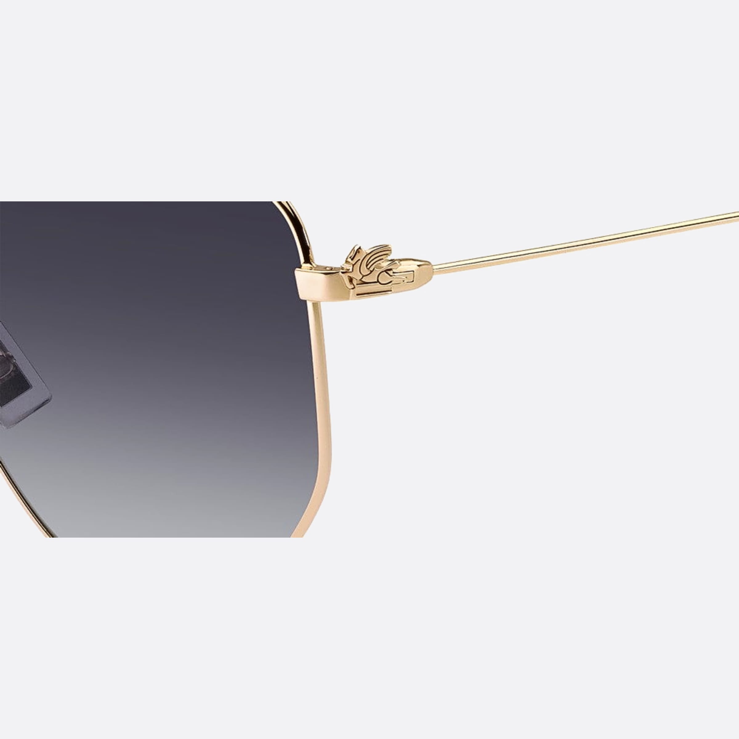 Etro 60mm Etro Rose Gold Geometric Women Sunglasses - Lifestyle Shot