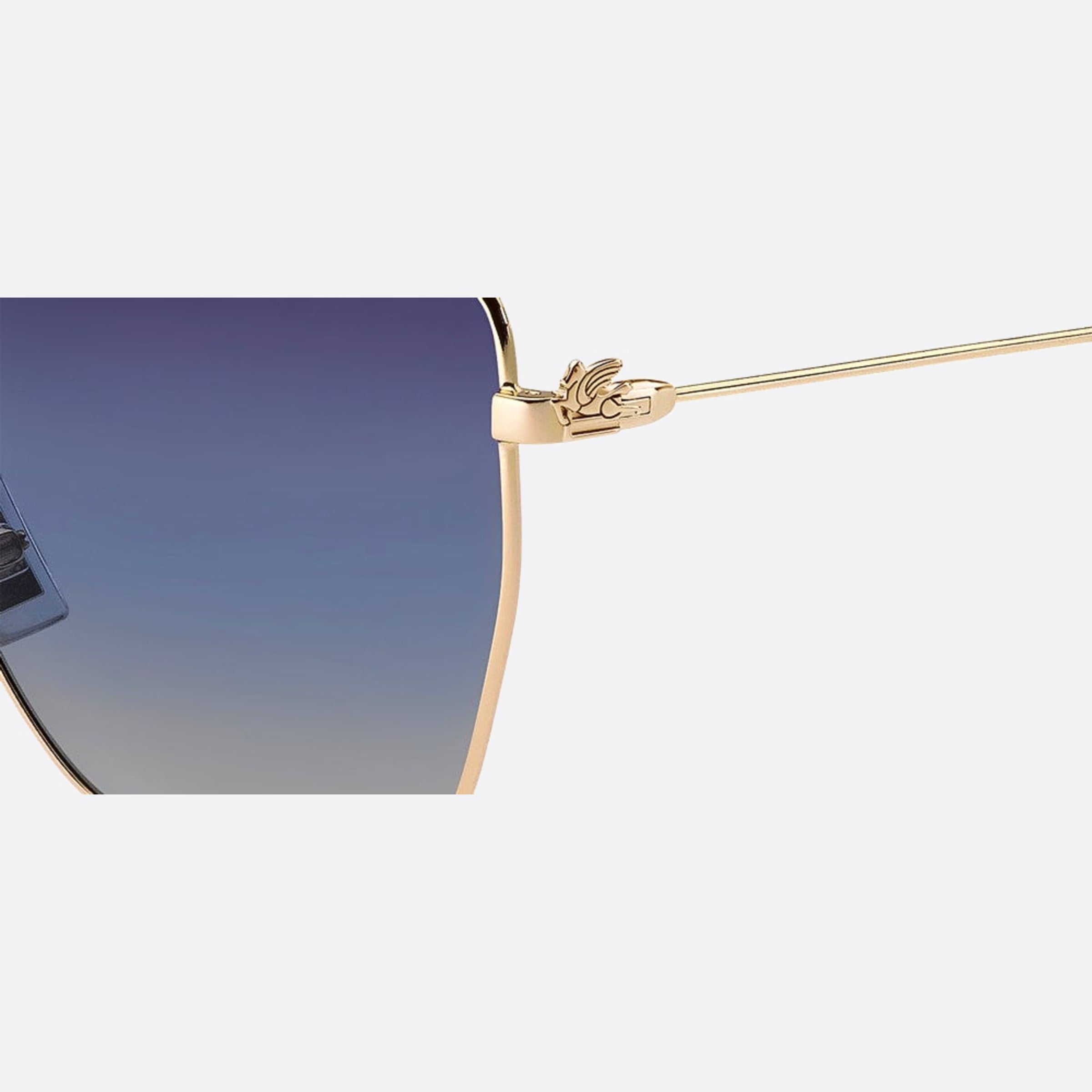 Etro 60mm Etro Rose Gold Butterfly Women Sunglasses - Lifestyle Shot