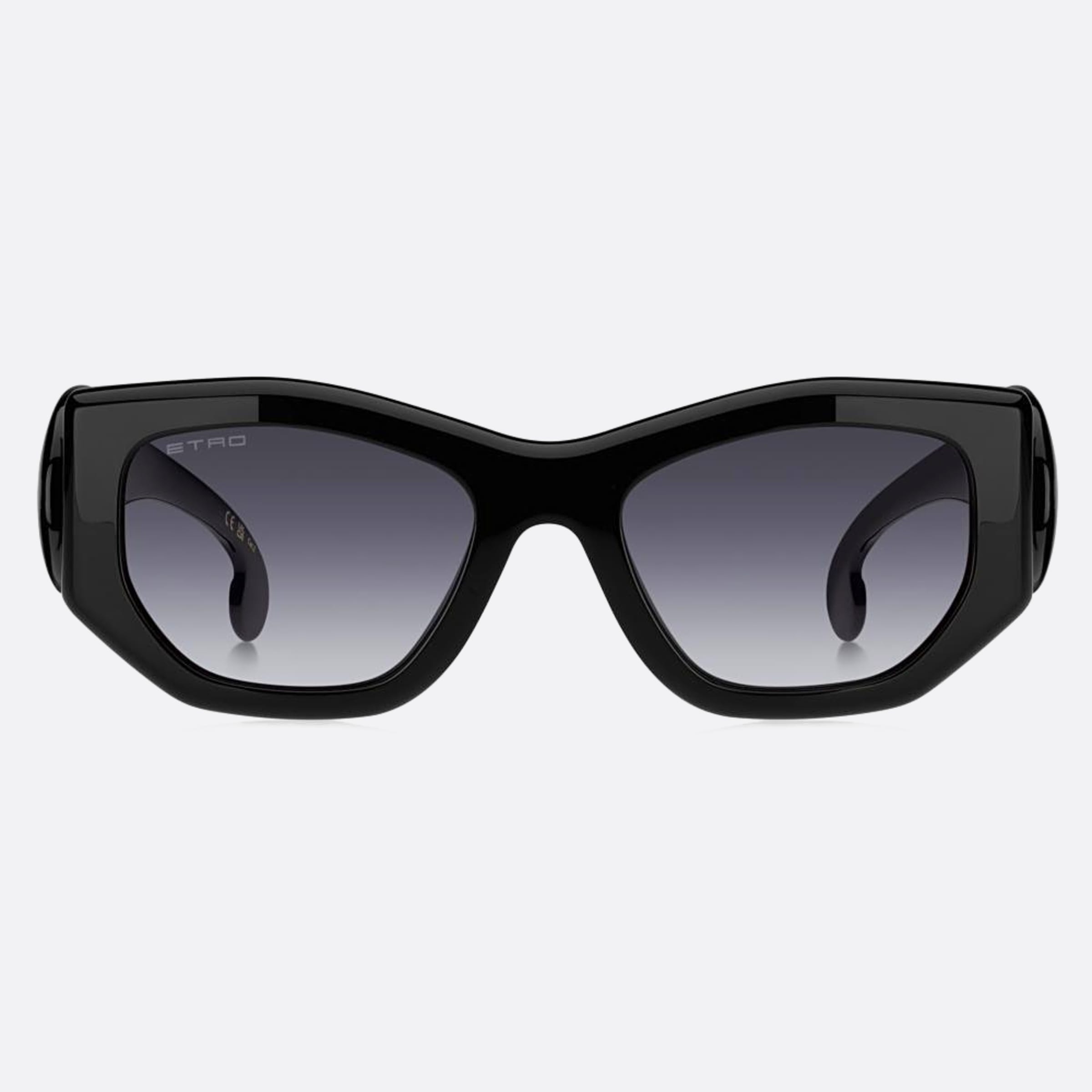 Etro 53mm Etropaisley Black Cat Eye Women Sunglasses - Main View