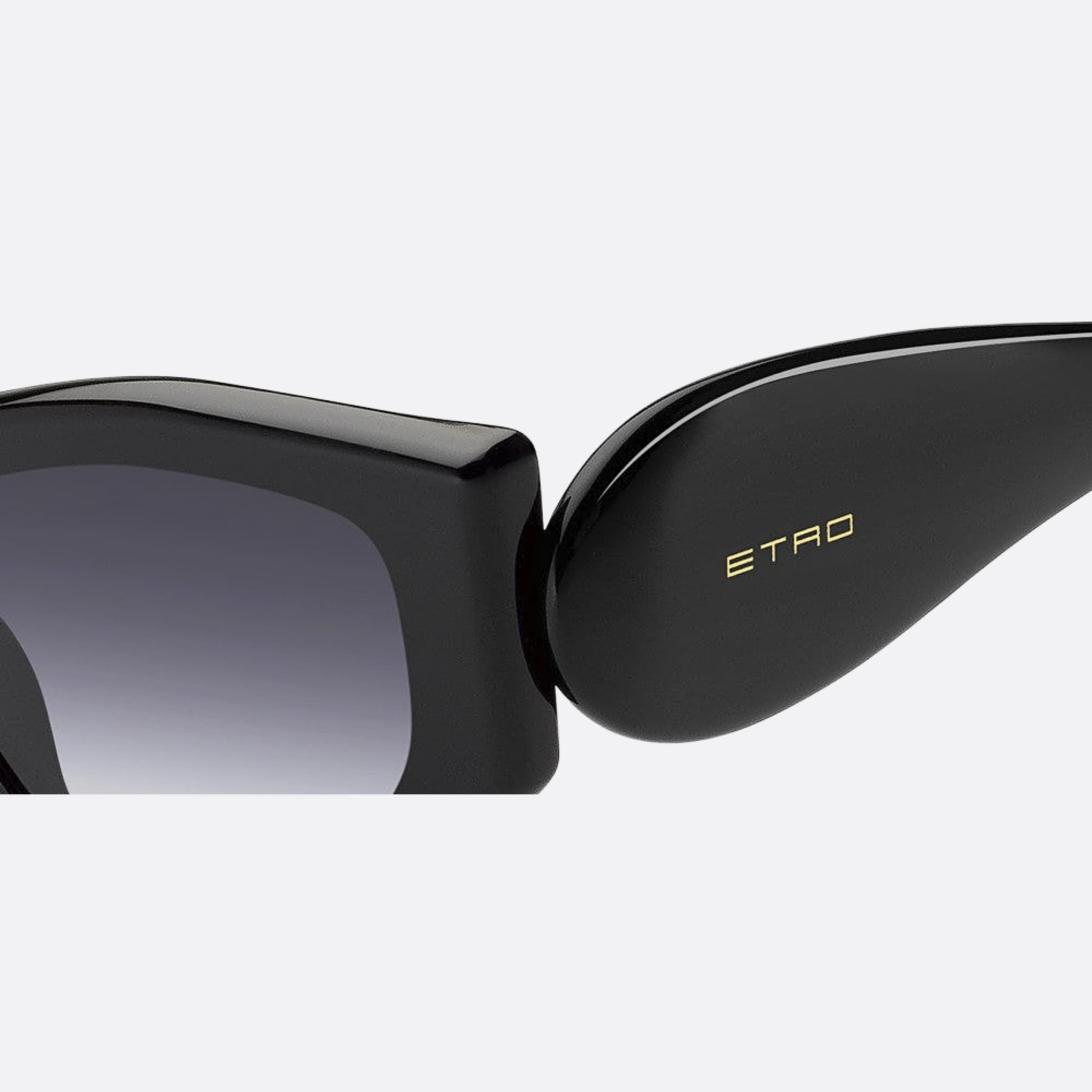 Etro 53mm Etropaisley Black Cat Eye Women Sunglasses - Detail View