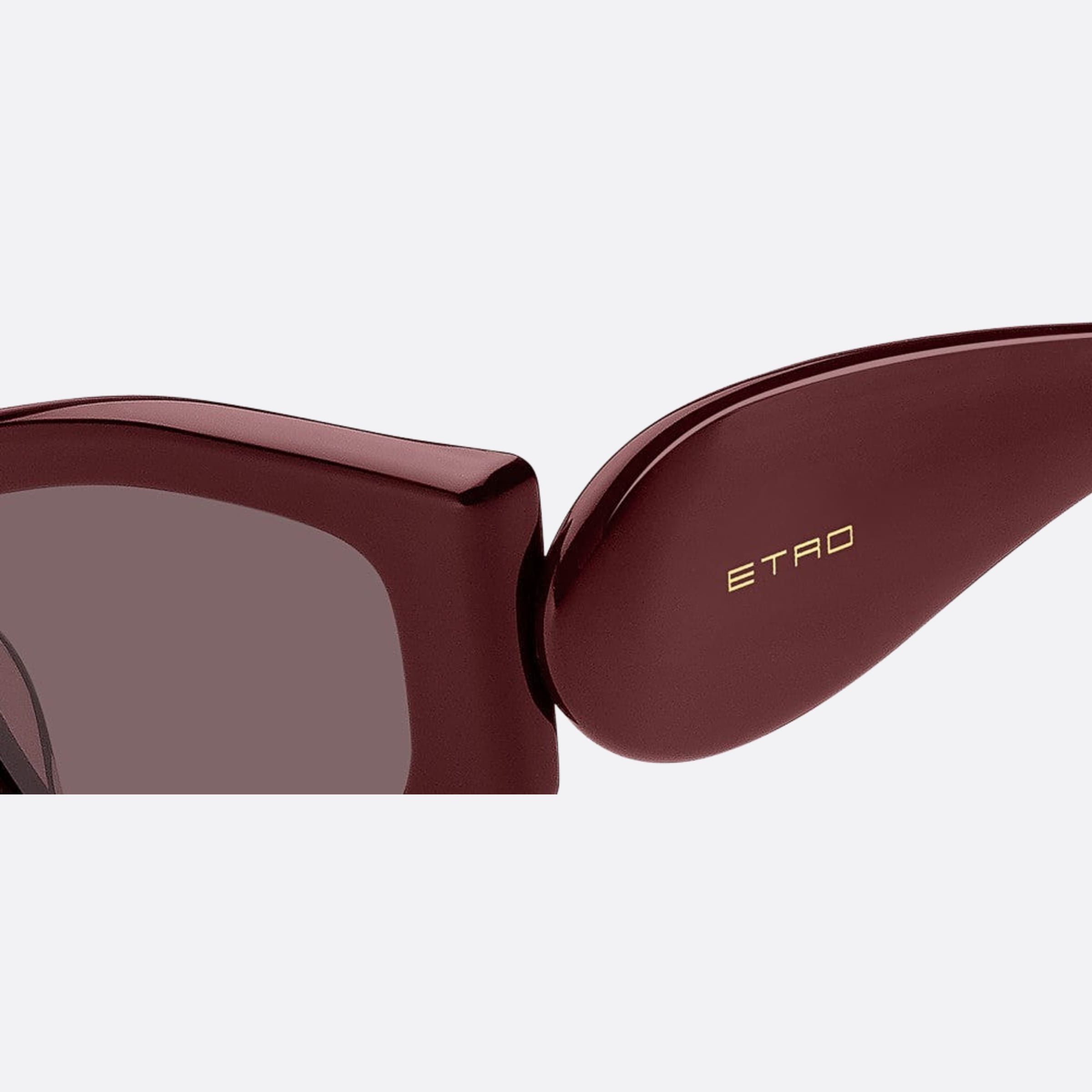 Etro 53mm Etropaisley Lhf Red Cat Eye Women Sunglasses - Detail View