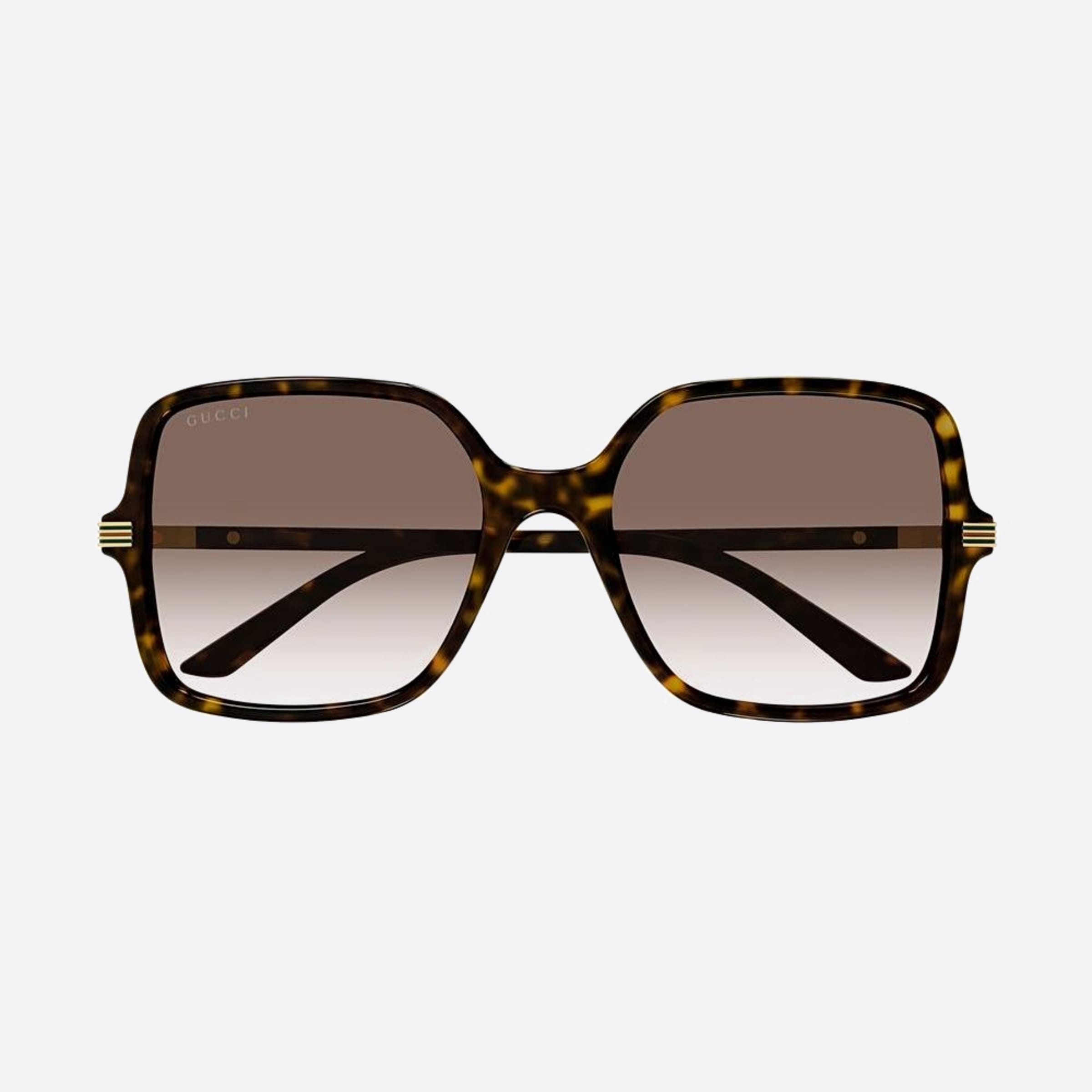Gucci 55mm Havana Squared Woman Sunglasses - Main View