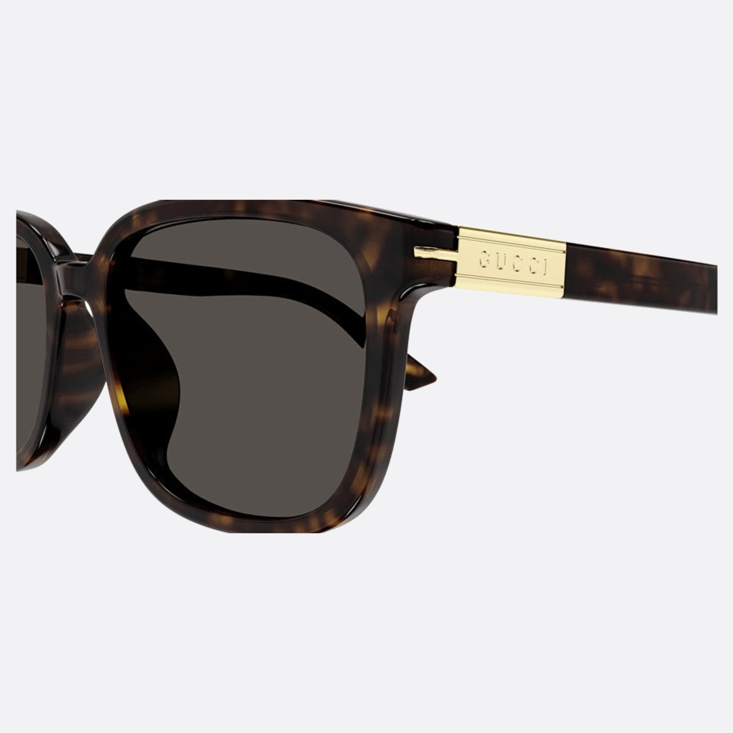 Gucci 55mm Gg1505sk Bre Havana Squared Men Sunglasses - Detail View