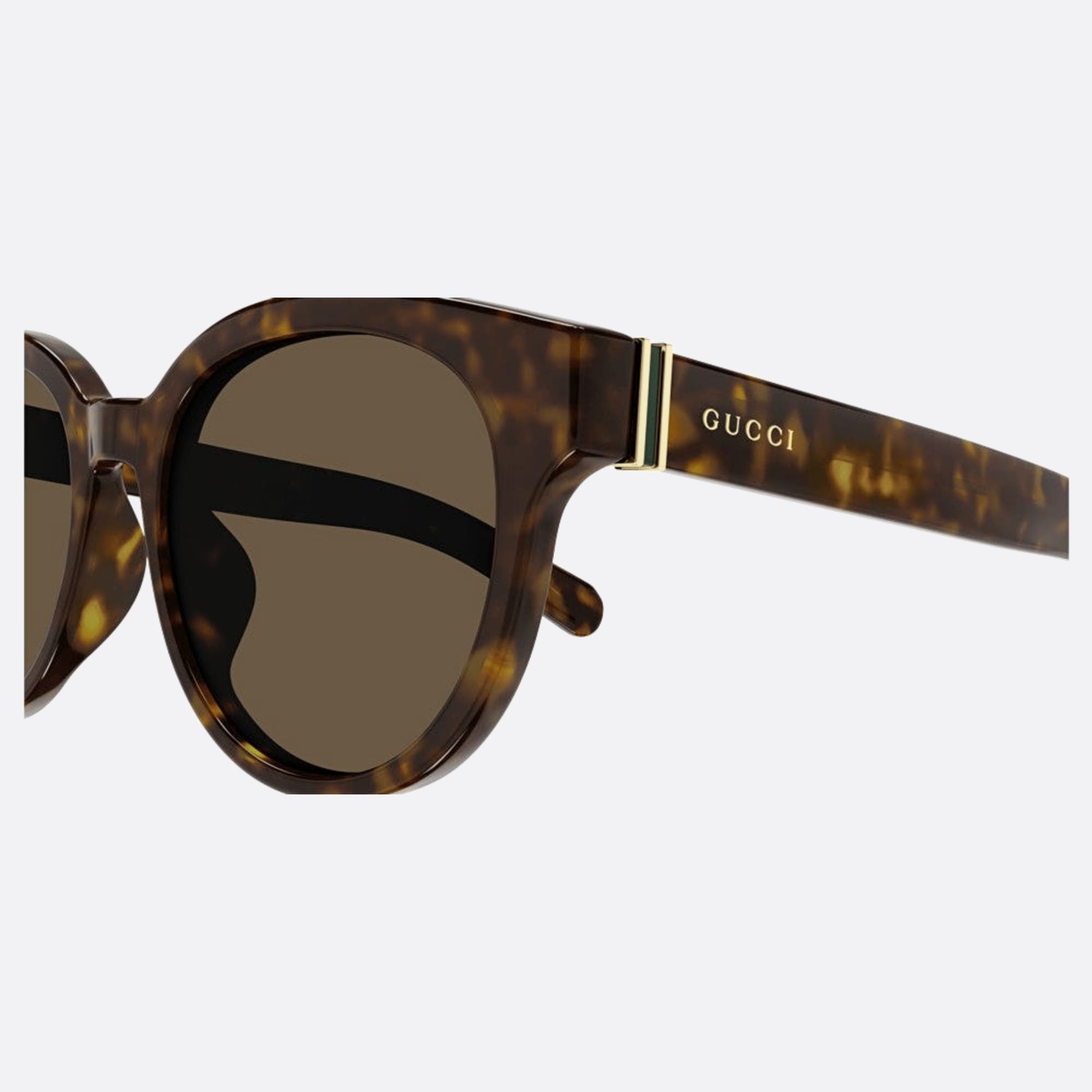 Gucci 53mm Gg1511sk Bre Havana Round Men Sunglasses - Detail View