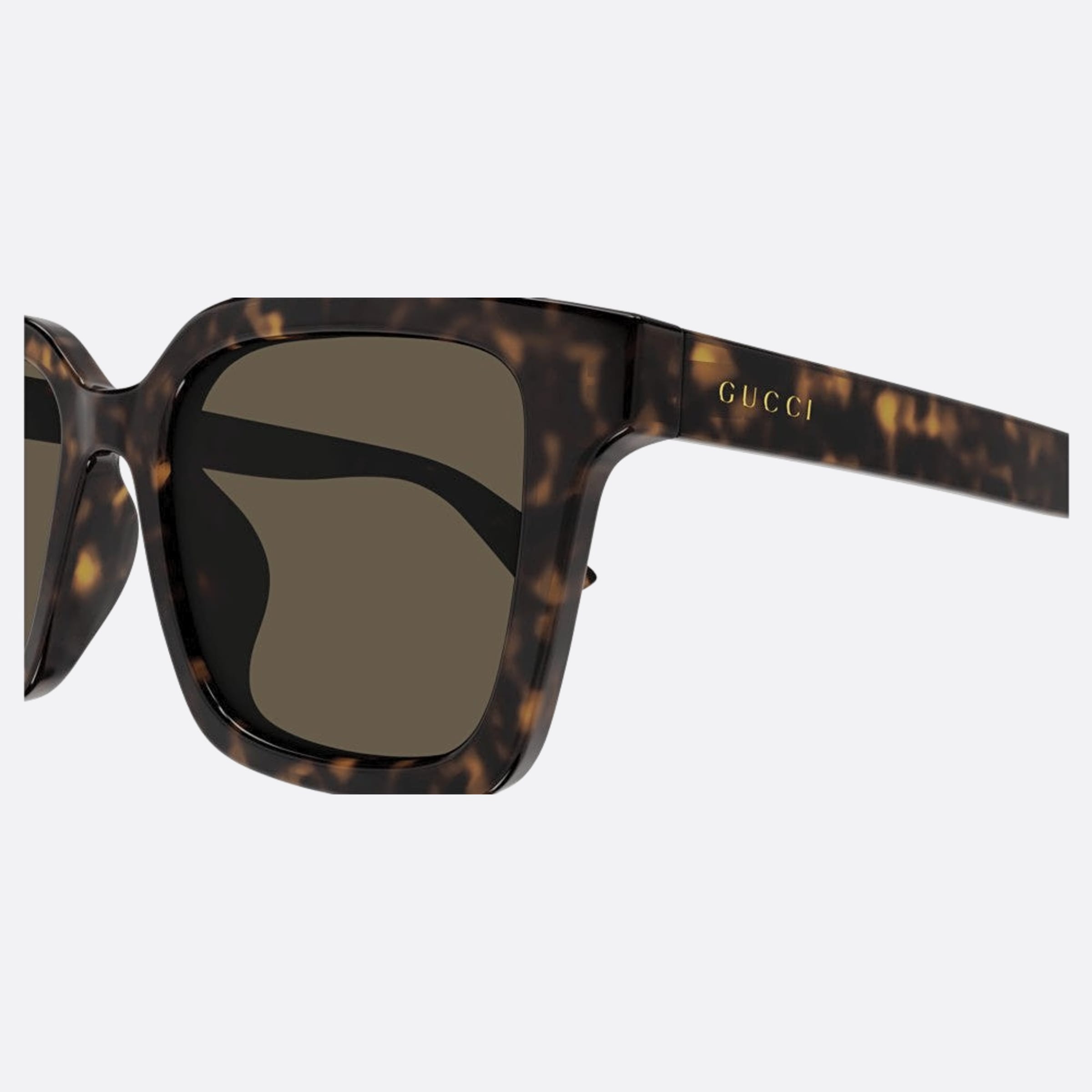 Gucci 54mm Gg1582sk Bre Havana Squared Man Sunglasses - Detail View