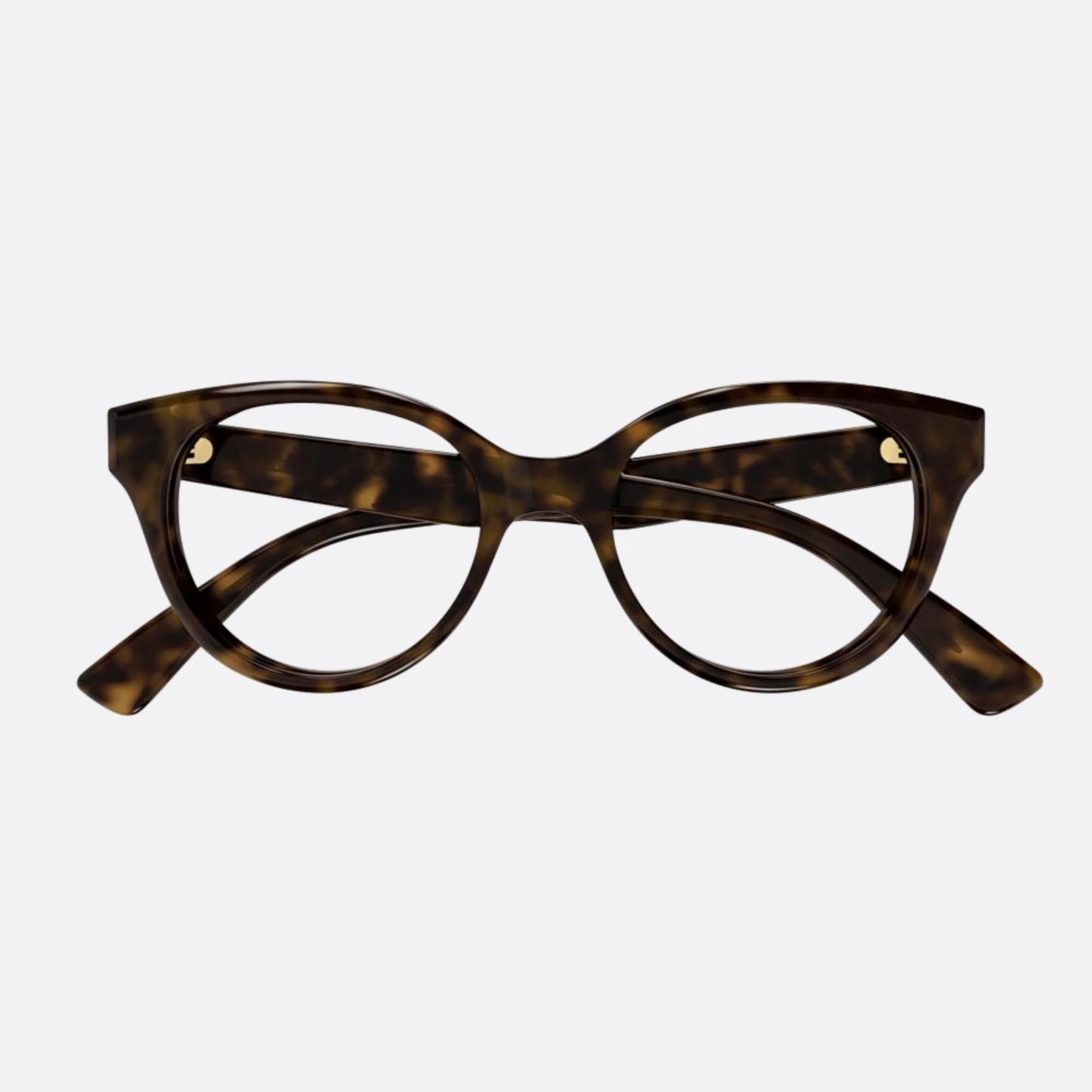 Gucci 48mm Havana Round Women Eyeglasses - Main View