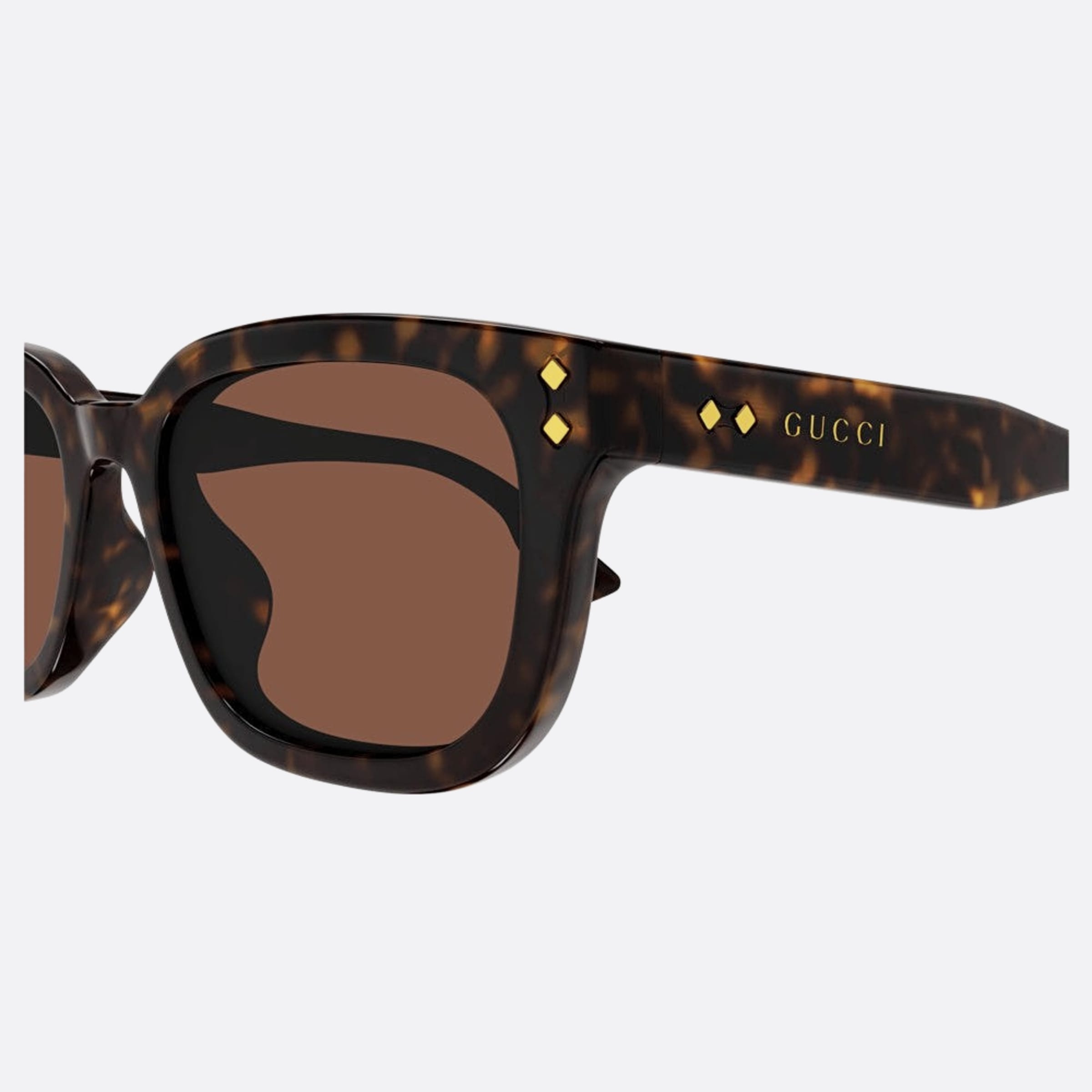 Gucci 54mm Gg1605sk Bre Havana Squared Women Sunglasses - Detail View