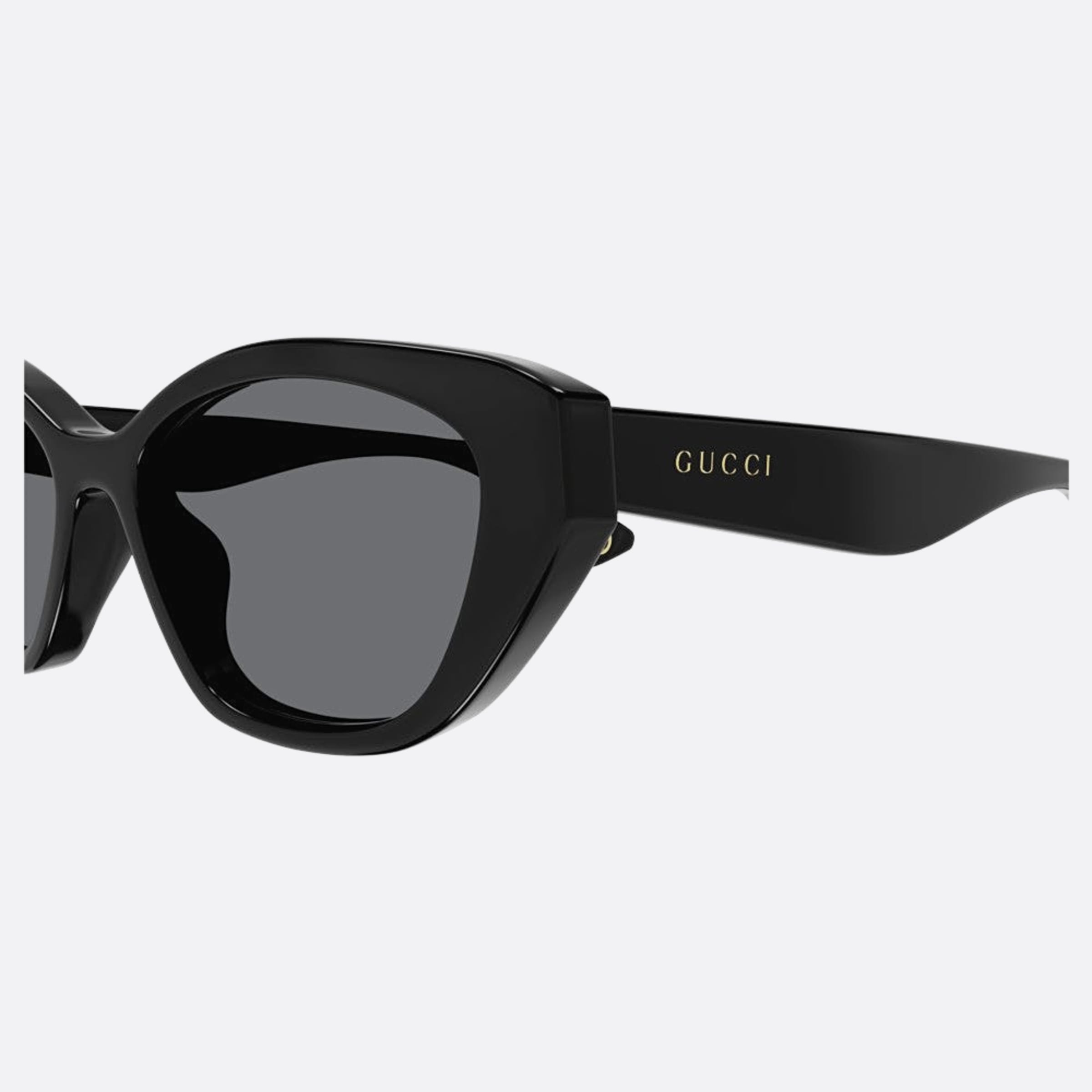 Gucci 55mm Gg1638sa Black Cat Eye Women Sunglasses - Detail View