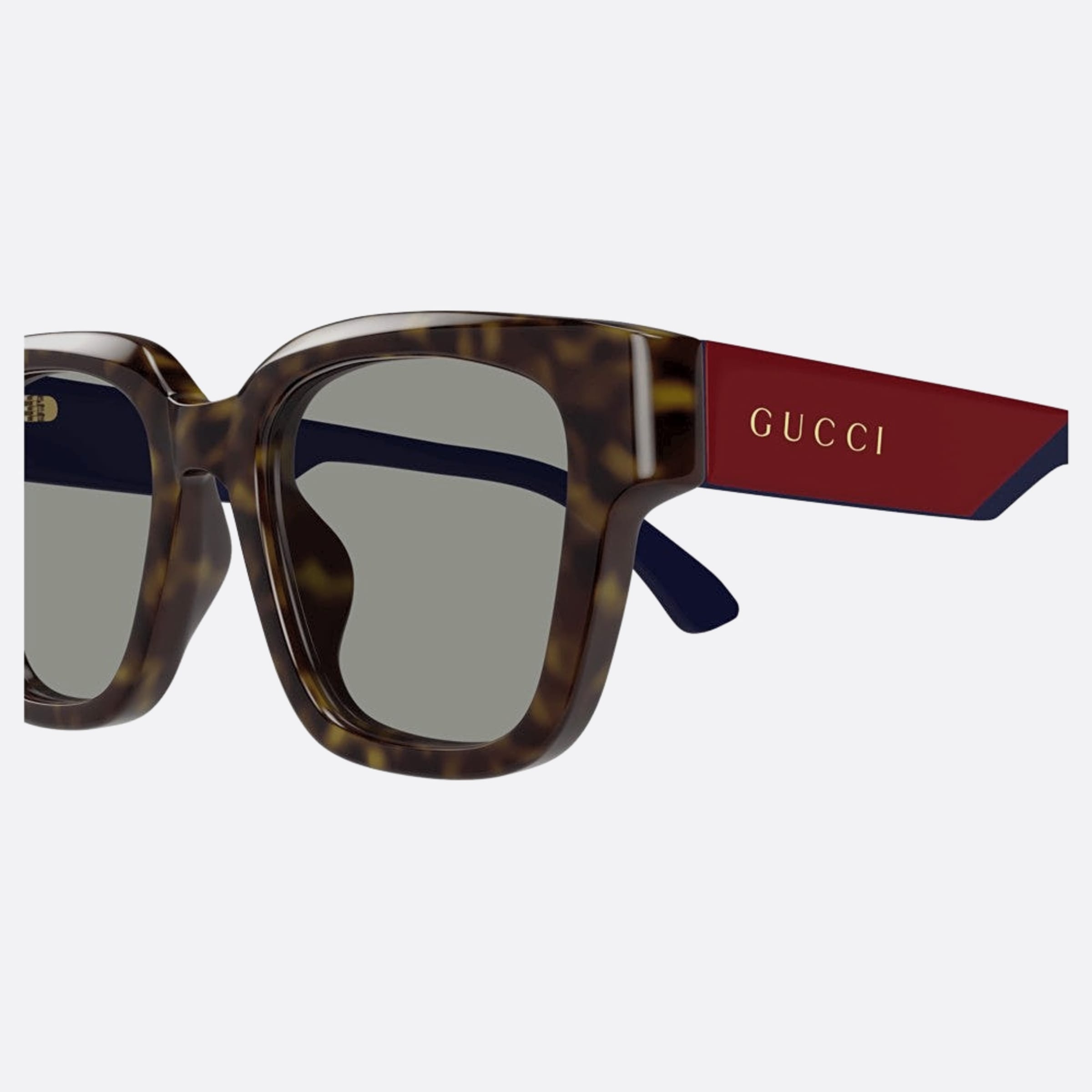 Gucci 52mm Gg1670sk Hvg Havana Butterfly Man Sunglasses - Lifestyle Shot