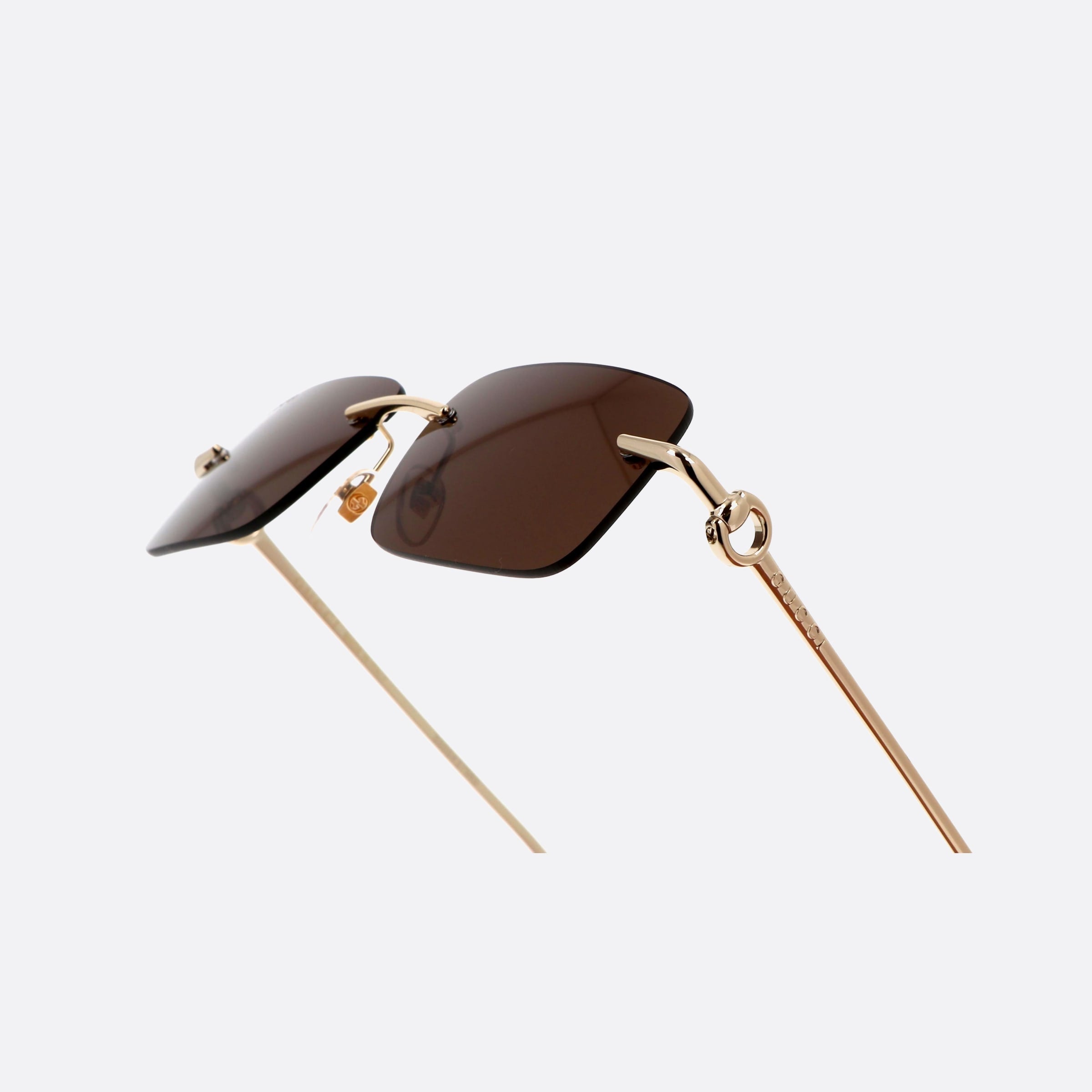 Gucci 55mm Horsebit Gdbr Gold Rectangle Man Sunglasses - Lifestyle Shot