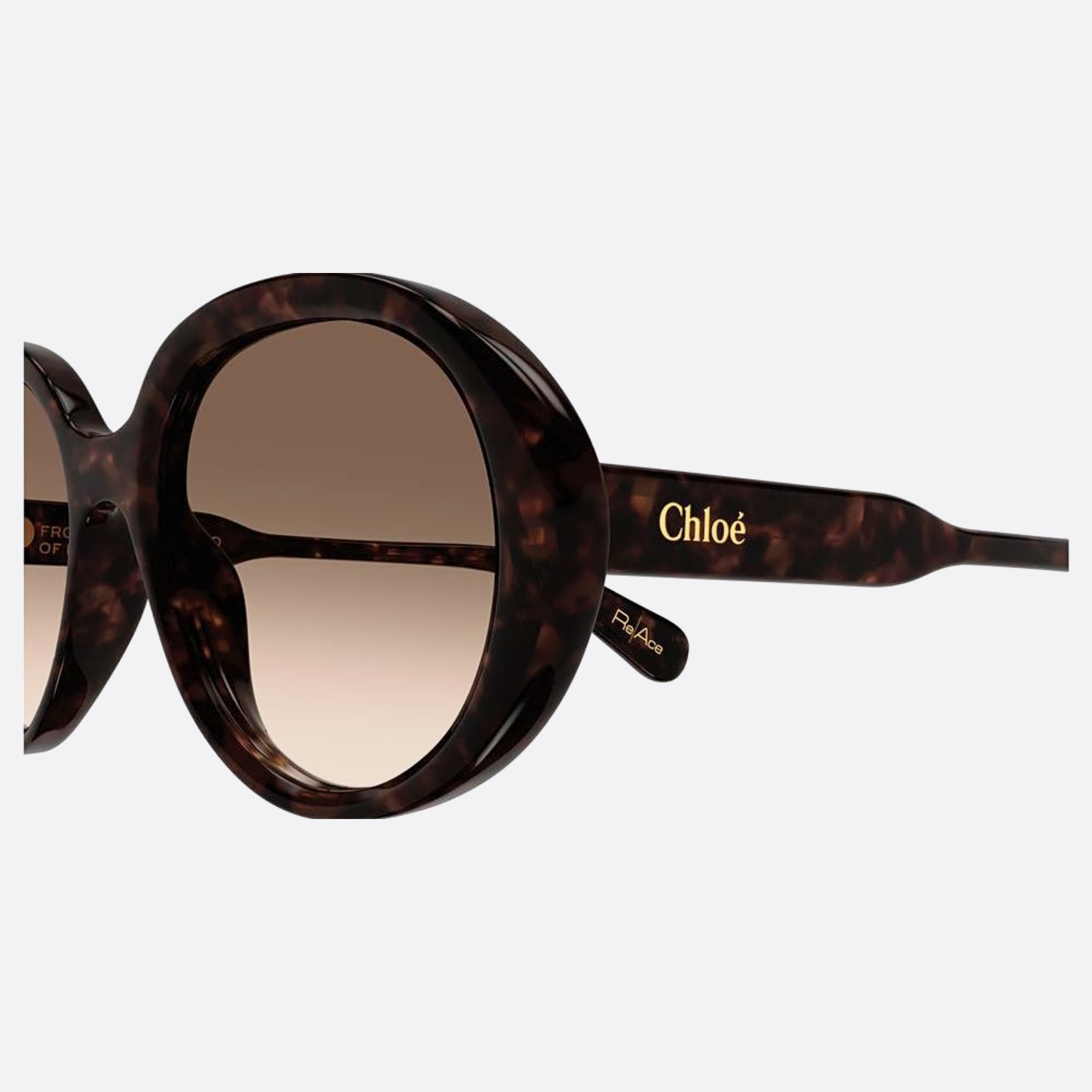 CH0221S 55 Havana