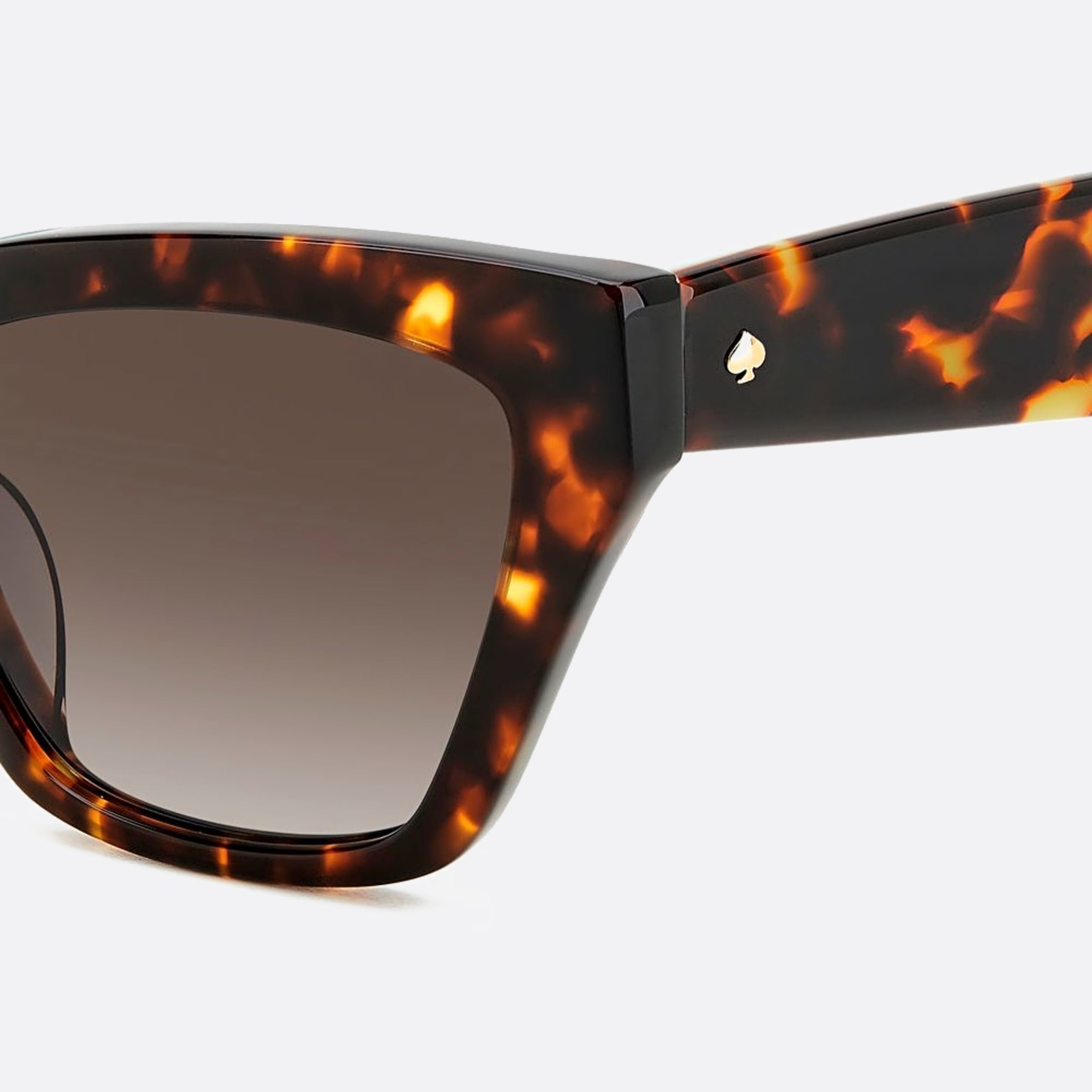 Kate 54mm Spade Fay Havana Cat Eye Women Sunglasses - Lifestyle Shot