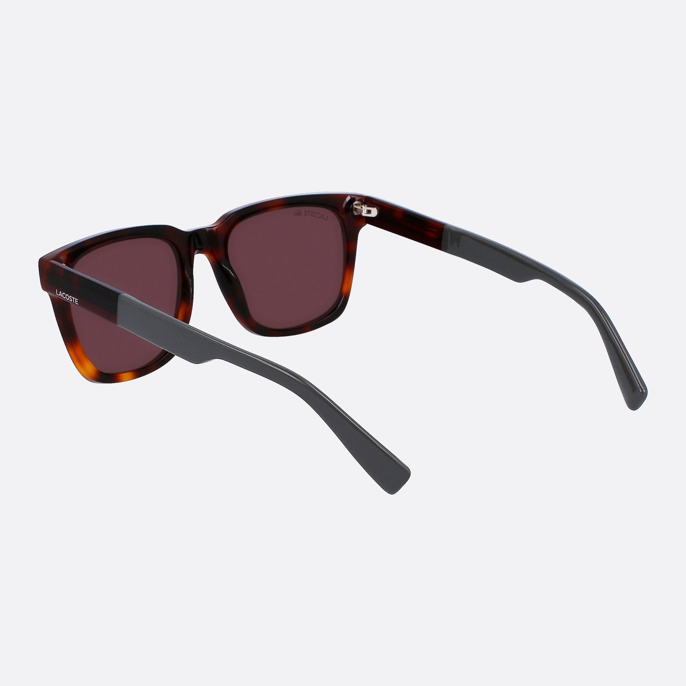 Lacoste 54mm L996s Havana Squared Unisex Sunglasses - Lifestyle Shot