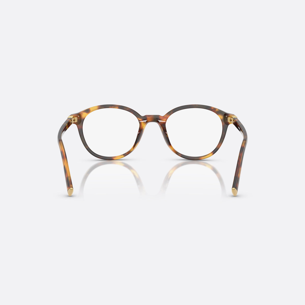 Miu Miu 0MU 02WV 14L1O1 eyeglasses, havana pantos frame for women, plain acetate bridge, brand lettering on temple, back view