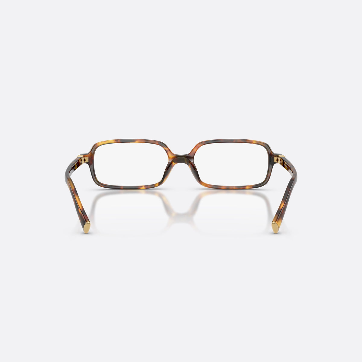 Miu Miu MU 01YV 14L1O1 eyeglasses, havana rectangle frame for women, plain integrated bridge, brand logo plaque on temple, back view
