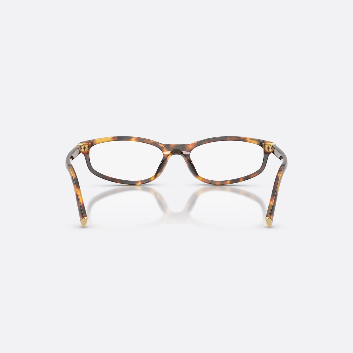 Miu Miu MU 01ZV 14L1O1 eyeglasses, havana oval frame for women, plain bridge, integrated, slim tapered temples, back view