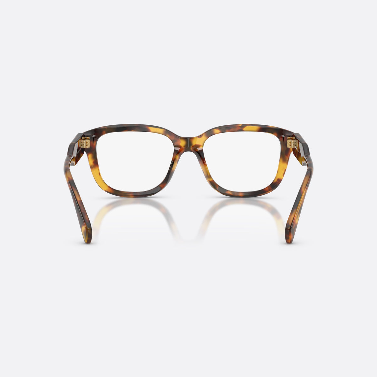 Miu Miu MU 02ZV 14L1O1 eyeglasses, havana rectangle frame for women, plain bridge, brand lettering on temples, full-rim frame, back view