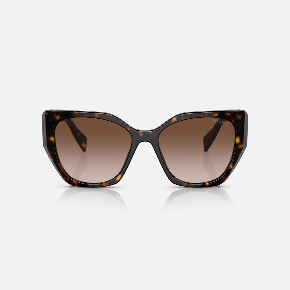 Prada PR 19ZS 2AU6/S1 sunglasses, havana pillow frame for women, plain bridge with slim profile, brand lettering on temples, front view