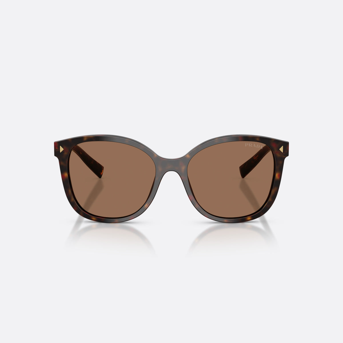 Prada PR 22ZS 17N06B sunglasses, havana square frame for women, plain bridge, integrated into frame, slim tapered temples, front view