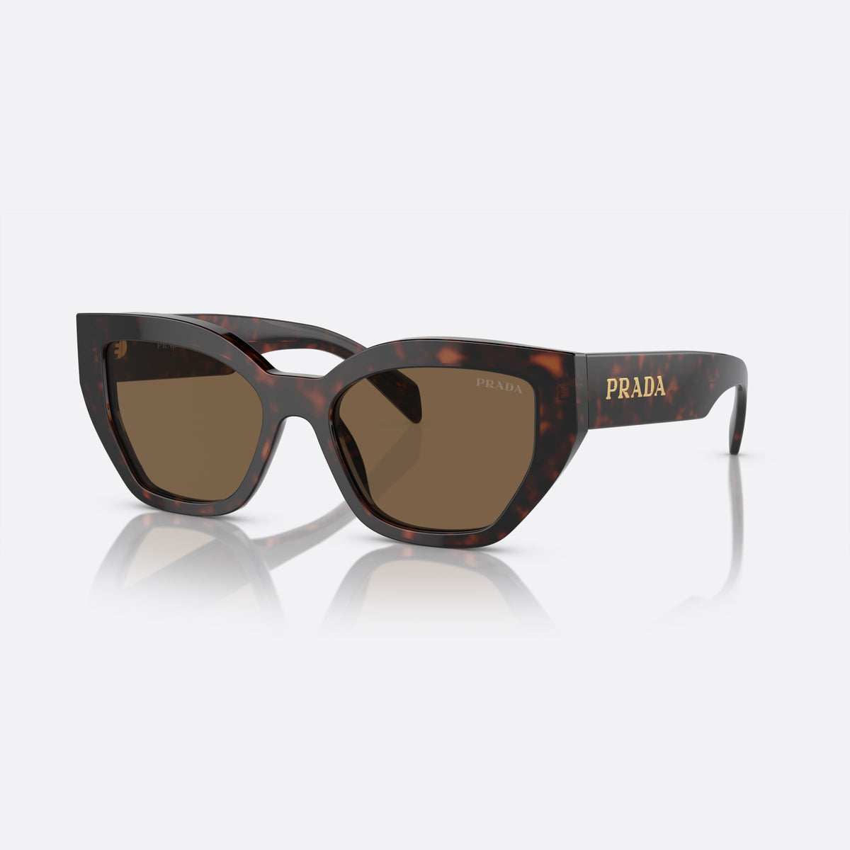 Prada PR A09S 16N-5Y1 G sunglasses, brown butterfly frame for women, plain double bridge, brand lettering on the temples