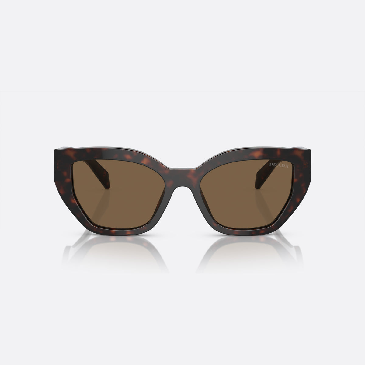 Prada PR A09S 16N-5Y1 G sunglasses, brown butterfly frame for women, plain double bridge, brand lettering on the temples, front view