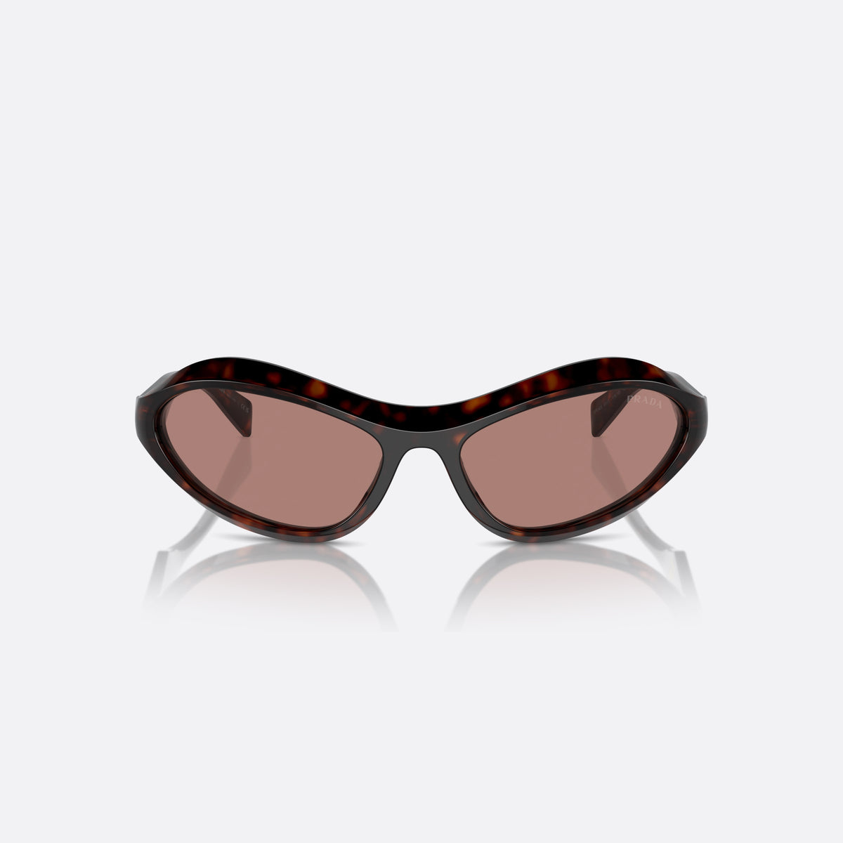 Prada PR A20S 17N10D sunglasses, havana cat eye frame for women, plain bridge, brand logo on temples, full rim, front view