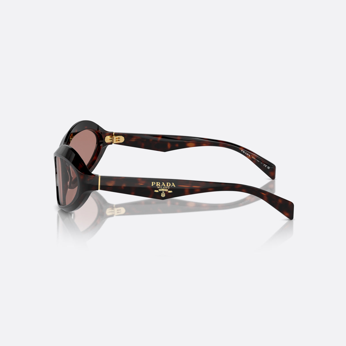 Prada PR A20S 17N10D sunglasses, havana cat eye frame for women, plain bridge, brand logo on temples, full rim, side view