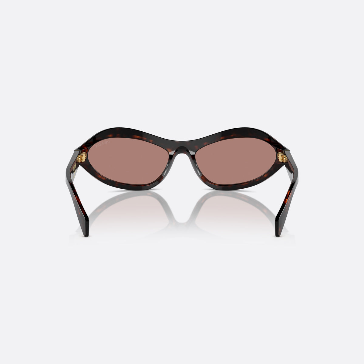 Prada PR A20S 17N10D sunglasses, havana cat eye frame for women, plain bridge, brand logo on temples, full rim, back view