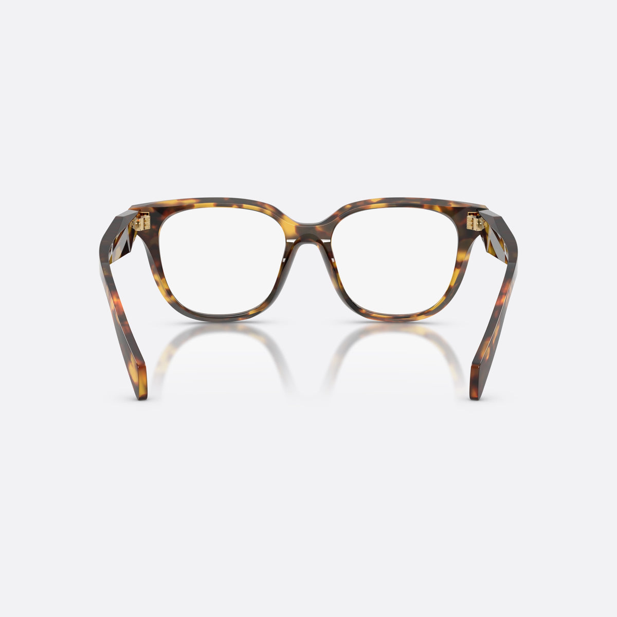 Prada PR C11V 14L1O1 eyeglasses, havana butterfly frame for women, plain bridge, brand lettering on temples, full-rim frame, back view