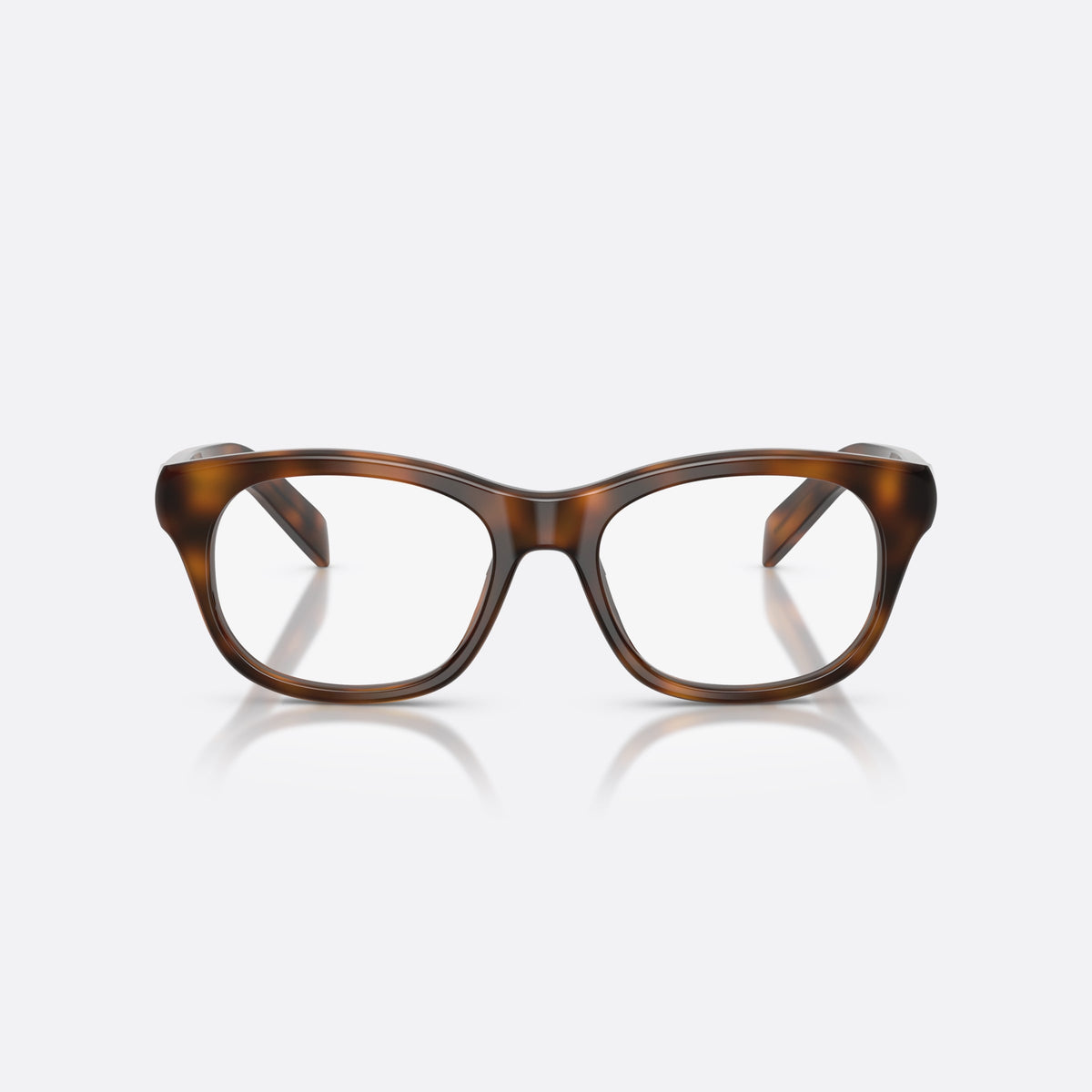 Prada PR C13V 20D1O1 eyeglasses, havana pillow frame for women, plain saddle bridge, brand lettering on temples, front view