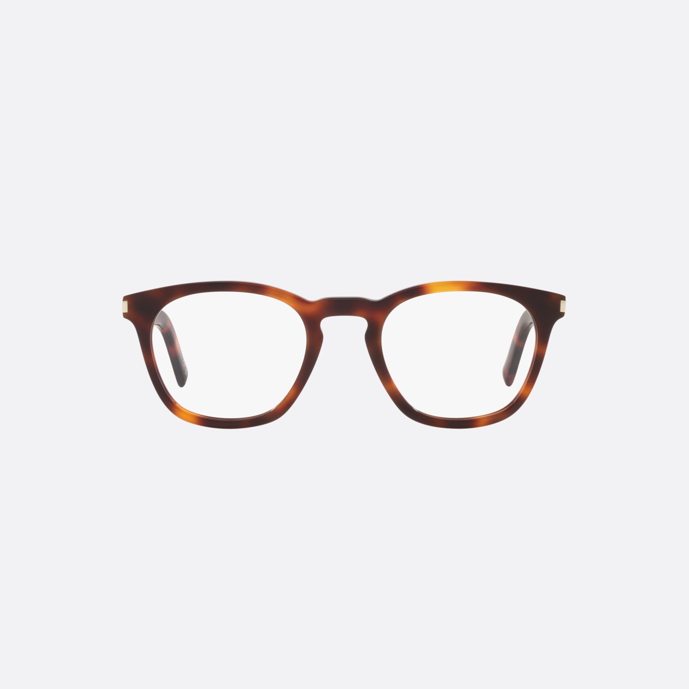 Saint 50mm Laurent Opt Havana Round Unisex Eyeglasses - Lifestyle Shot