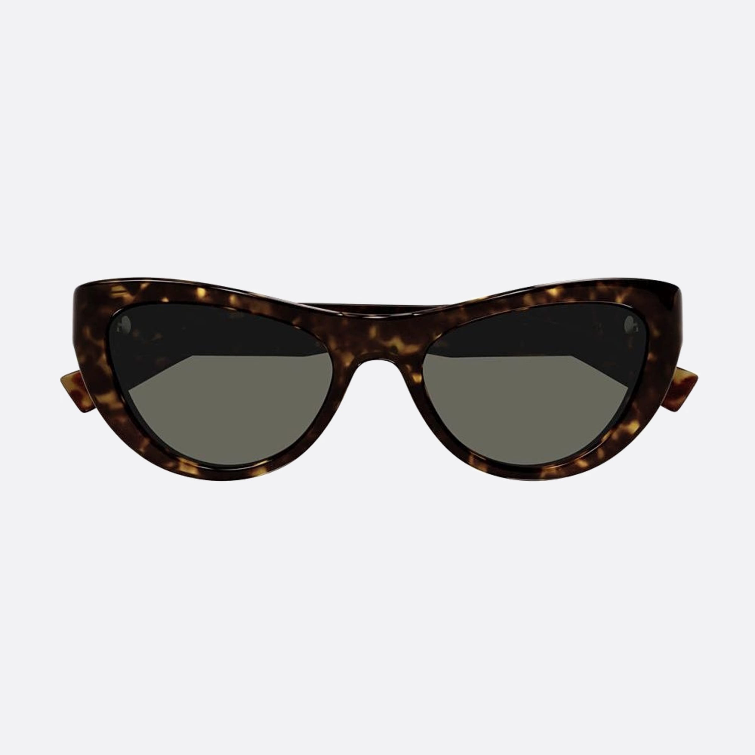 Saint 53mm Laurent Havana Cat Eye Woman Sunglasses - Detail View