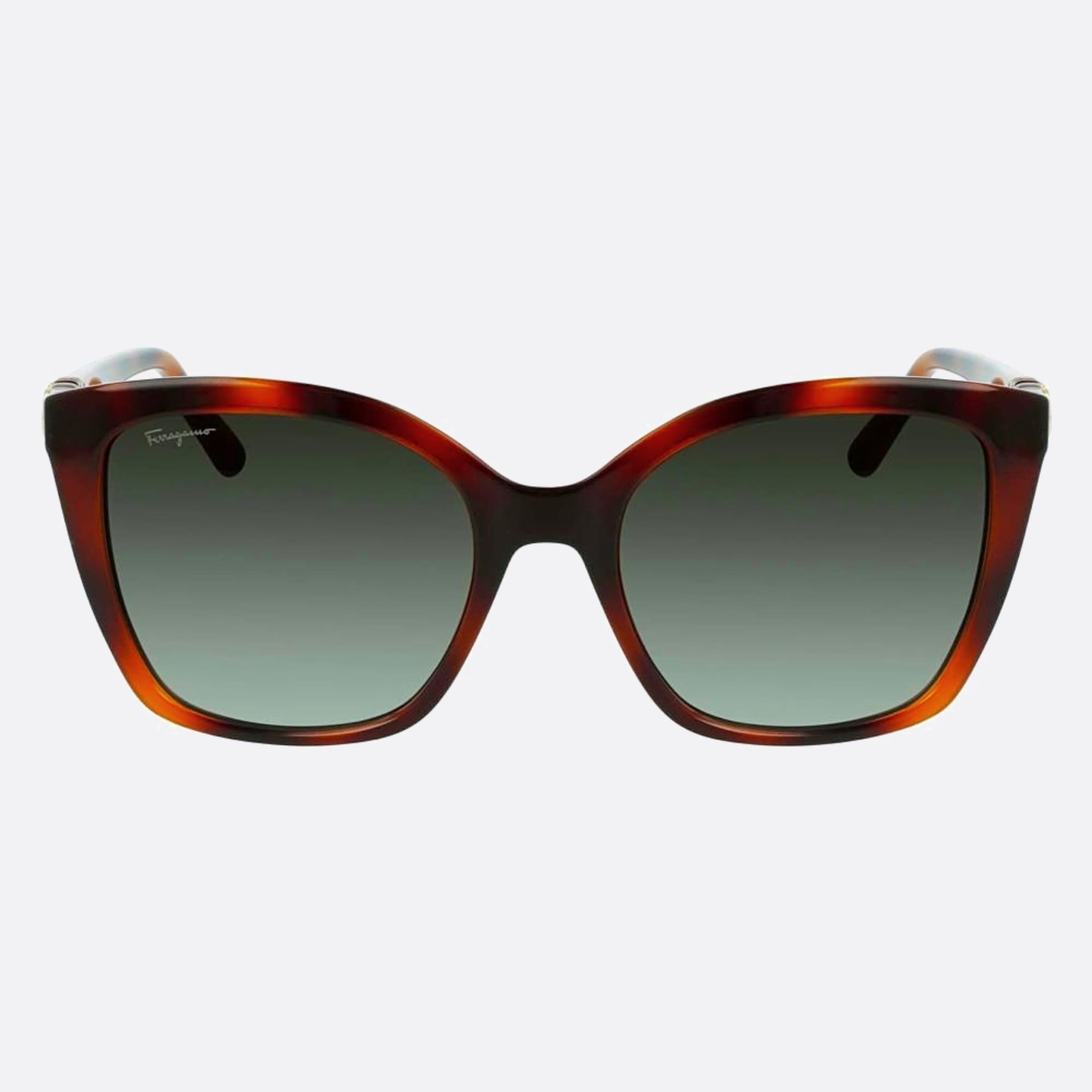 Salvatore 54mm Ferragamo Havana Butterfly Women Sunglasses - Main View