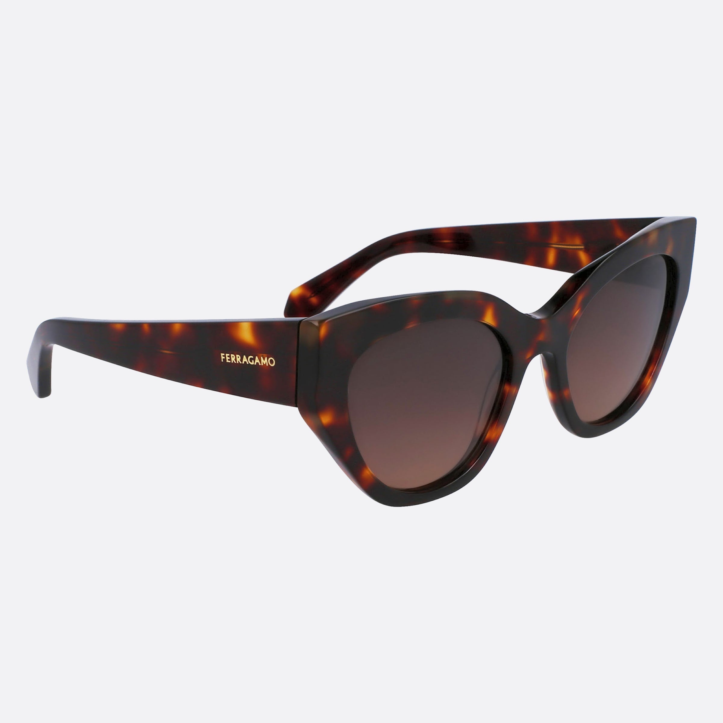 Salvatore 55mm Ferragamo Brown Geometric Women Sunglasses - Detail View