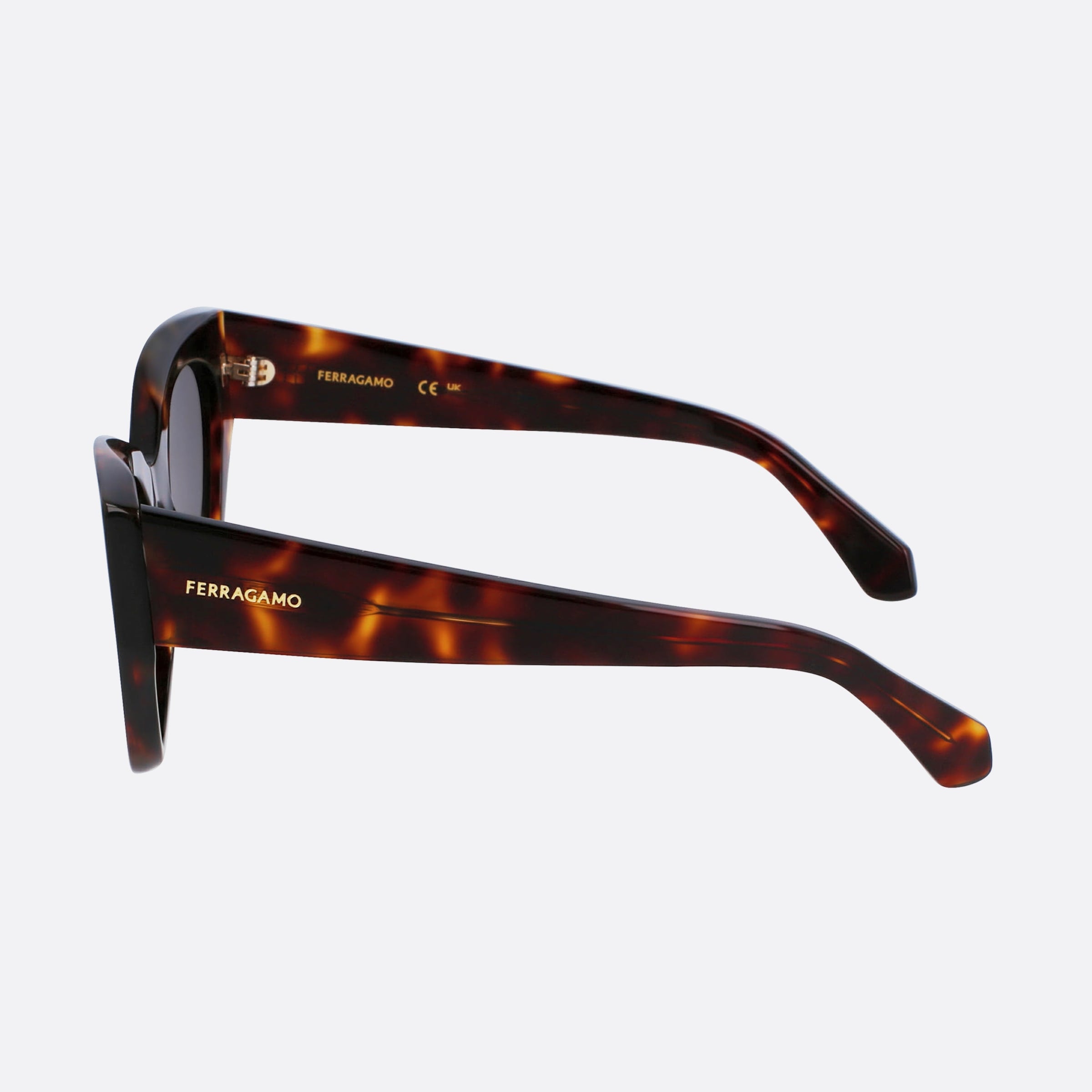 Salvatore 55mm Ferragamo Brown Geometric Women Sunglasses - Lifestyle Shot
