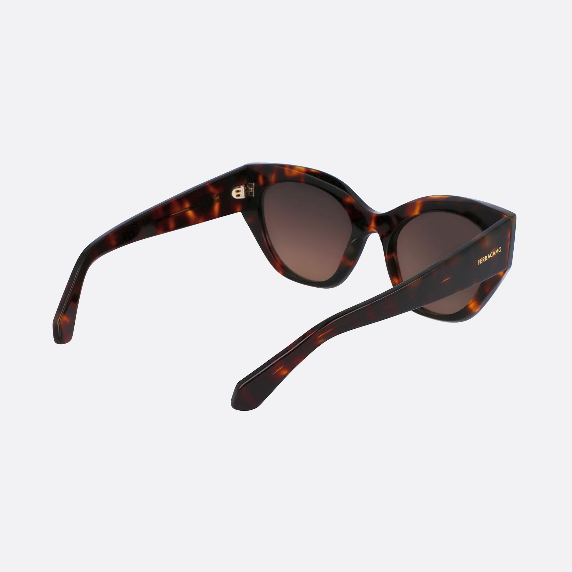 Salvatore 55mm Ferragamo Brown Geometric Women Sunglasses - Additional Angle