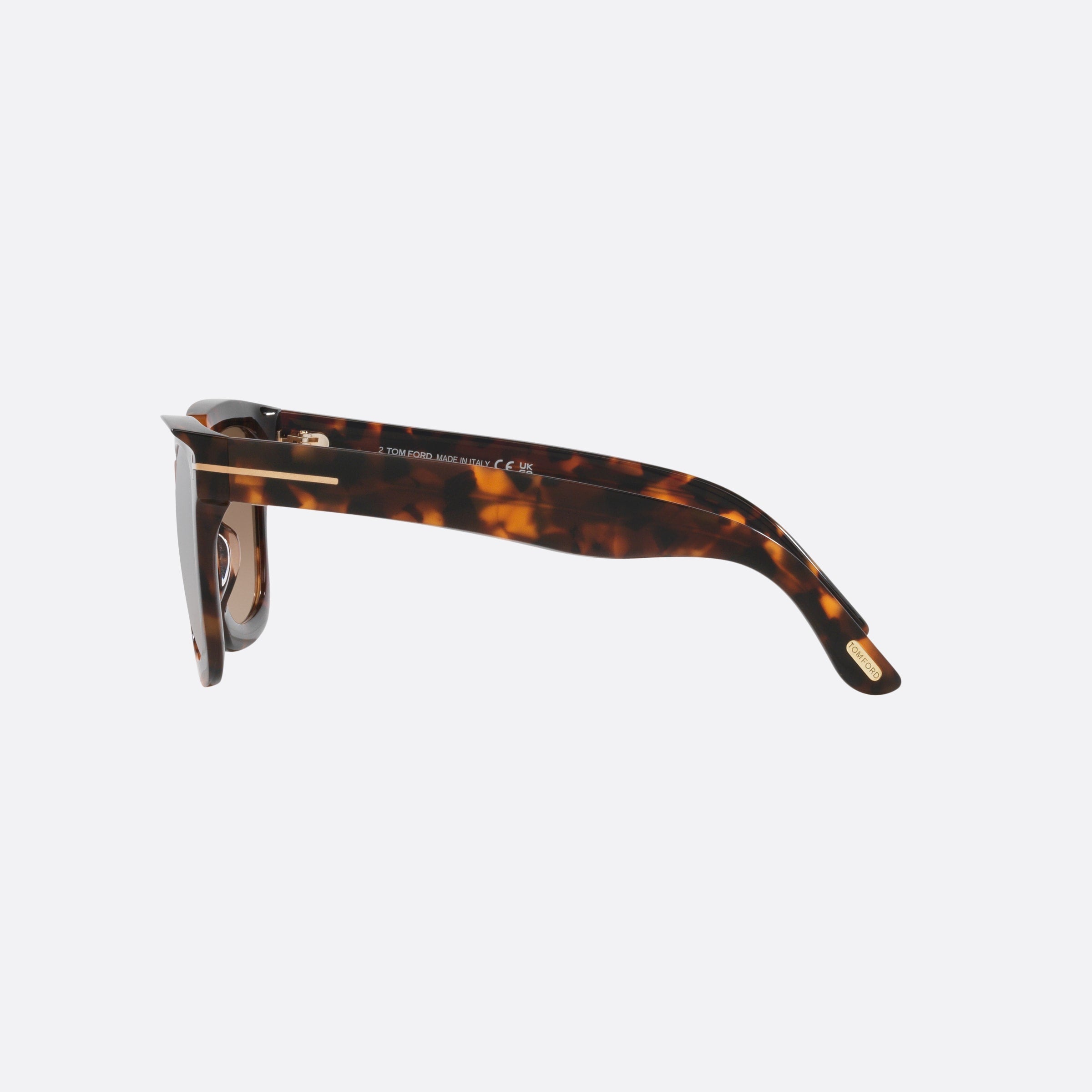 Tom 52mm Ford Leigh Tortoise Square Women Sunglasses - Detail View
