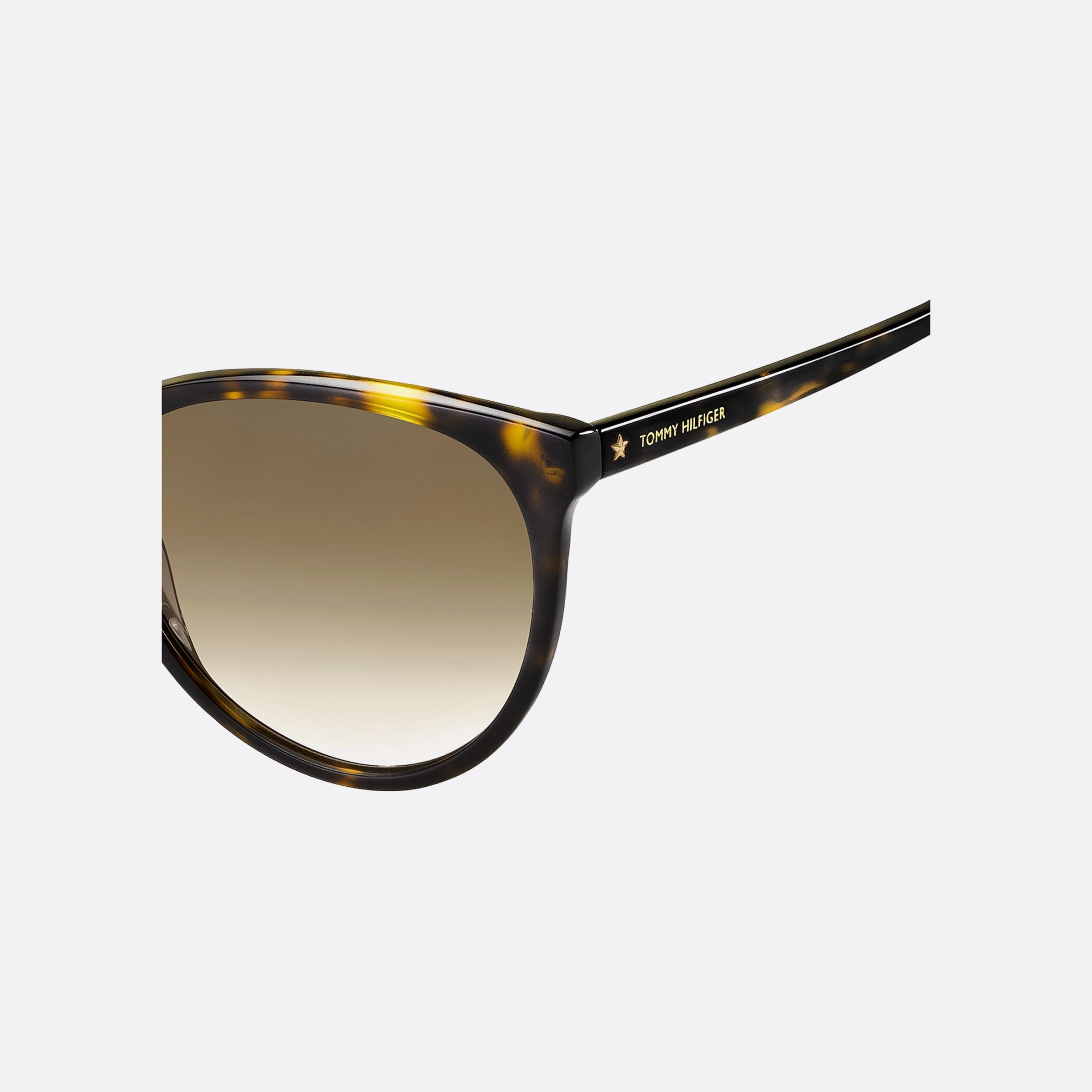 Tommy 56mm Hilfiger Havana Round Women Sunglasses - Detail View