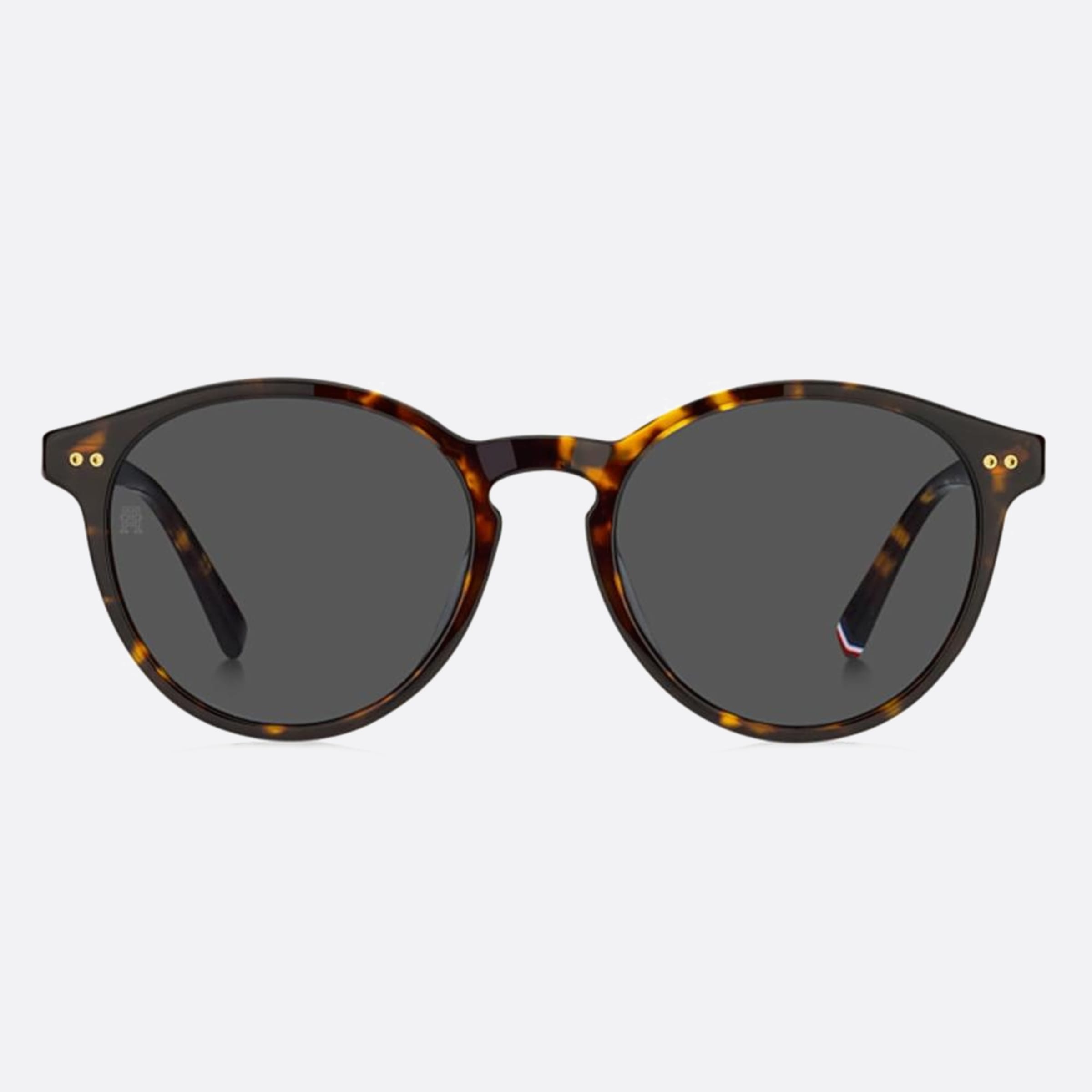 Tommy 52mm Hilfiger Havana Pantos Women Sunglasses - Main View