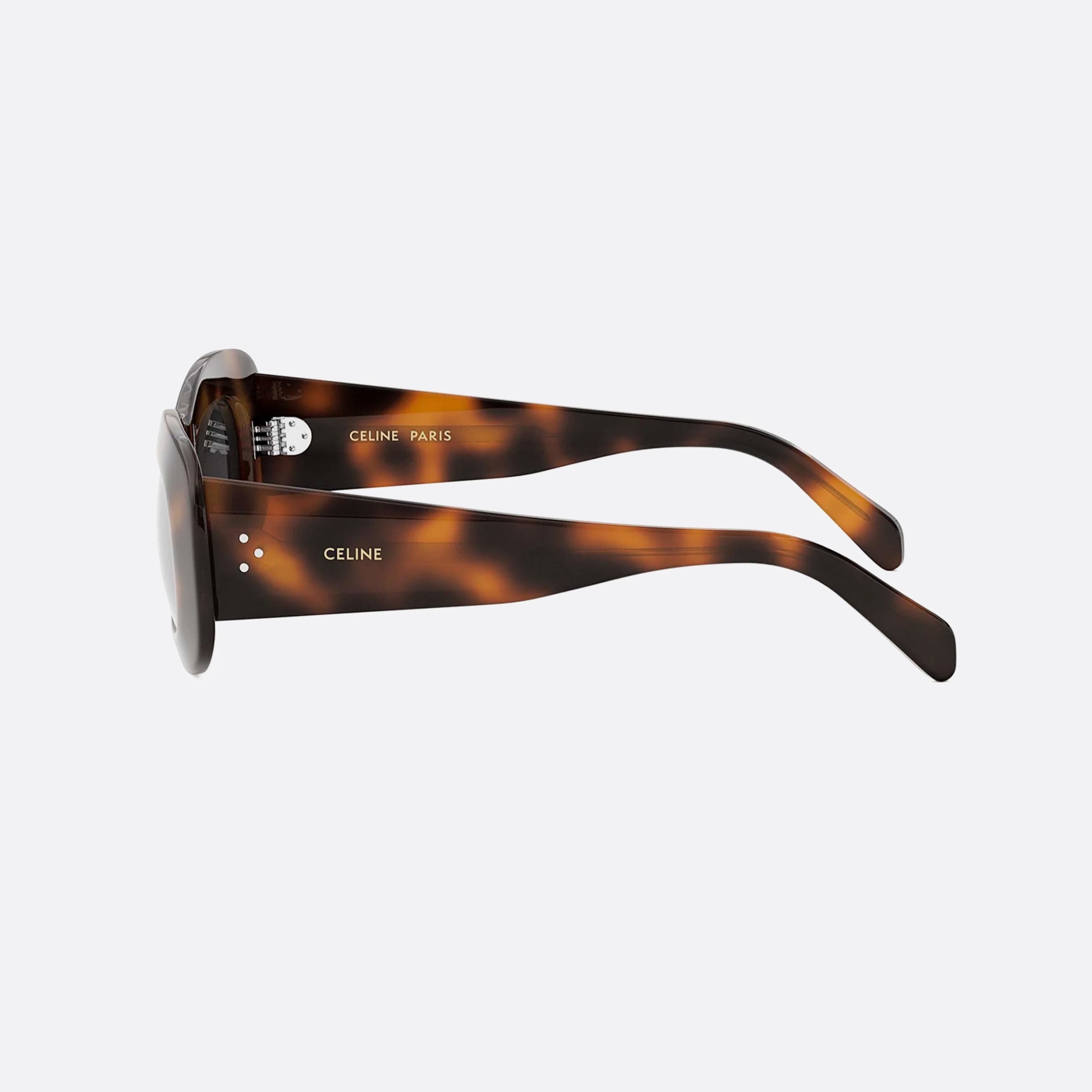 3 Dots CL40294I 53 Havana