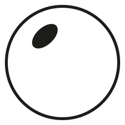 Polarized - SV